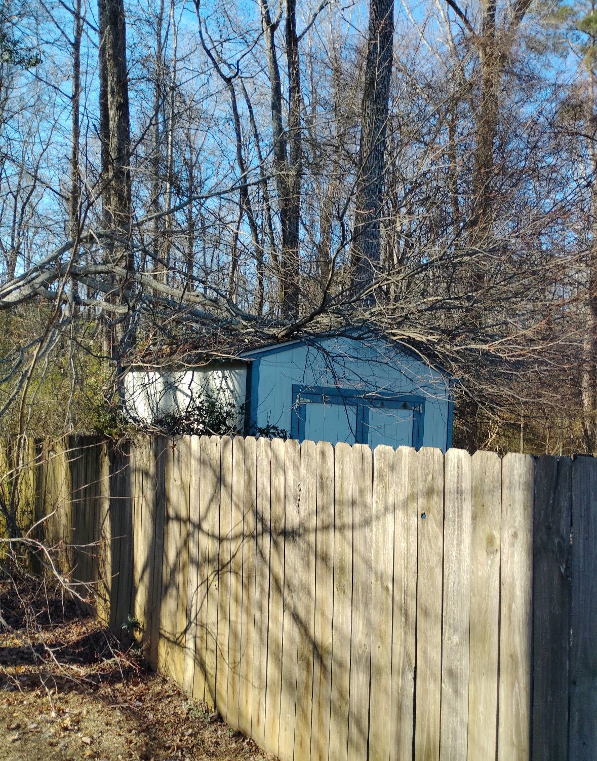  for Tri-P Services in Athens, GA