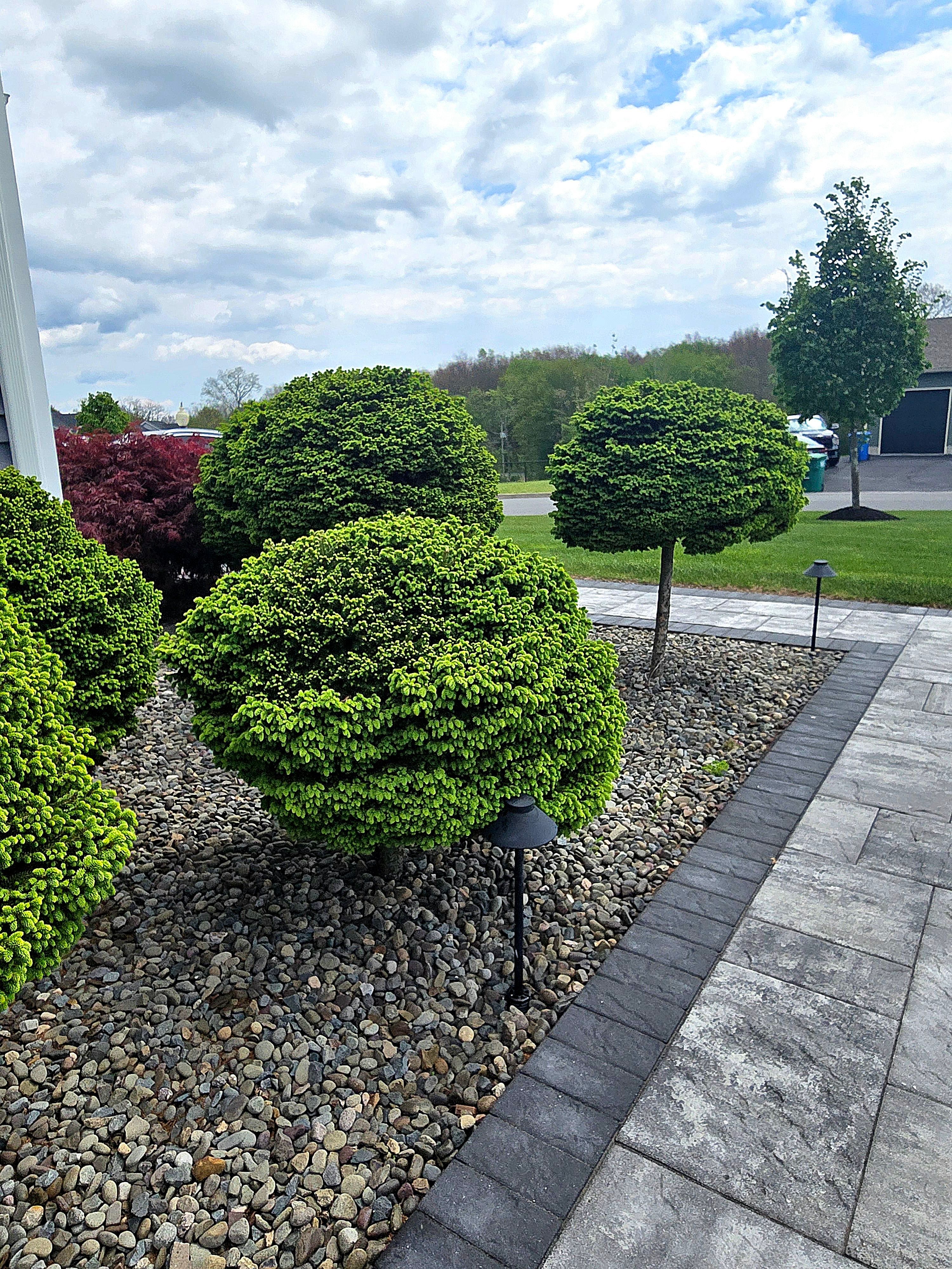  for Tony Monaco Landscaping Inc. in Orange County, NY