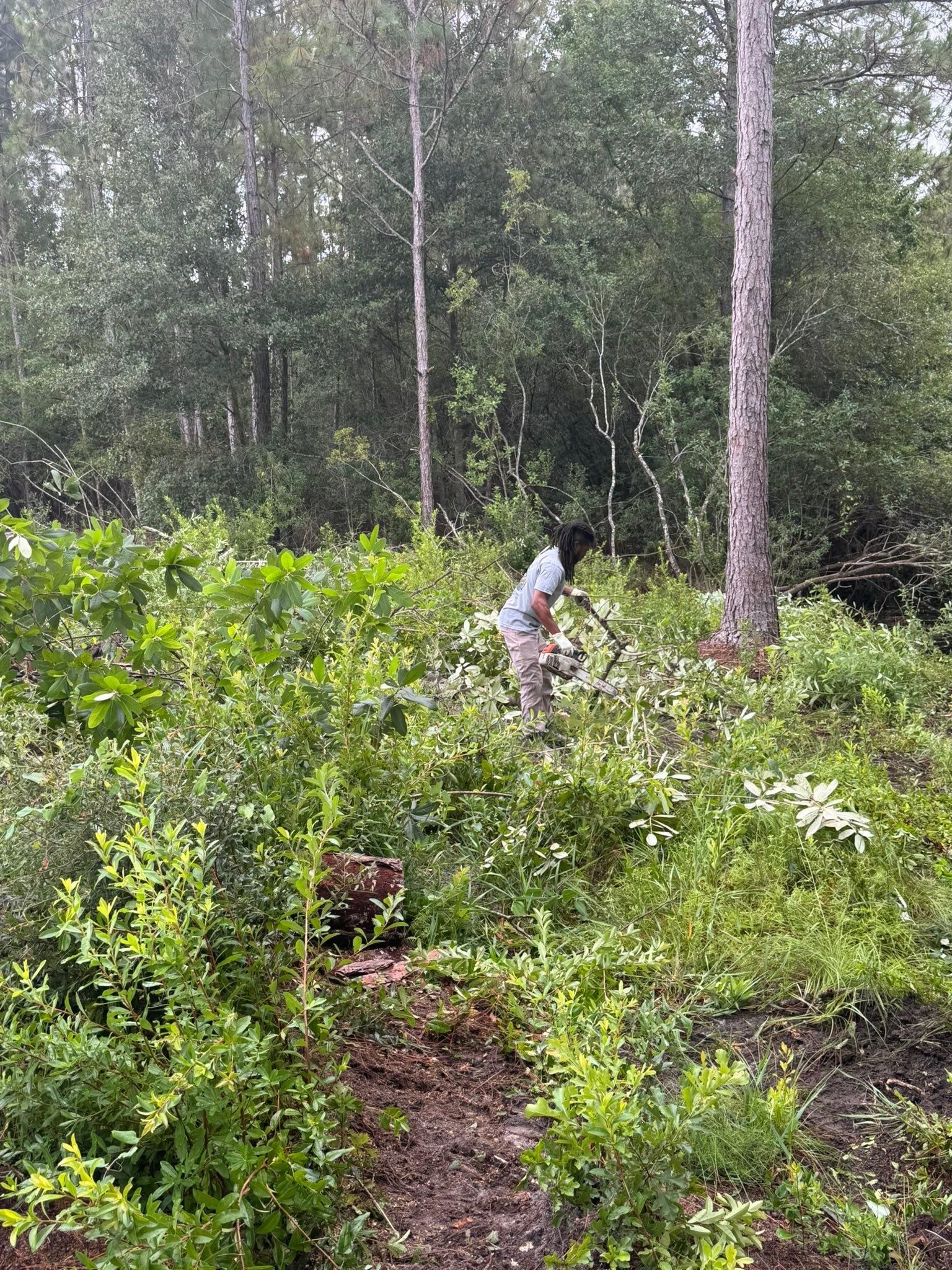  for DLC Land Clearing in Glen Saint Mary, FL