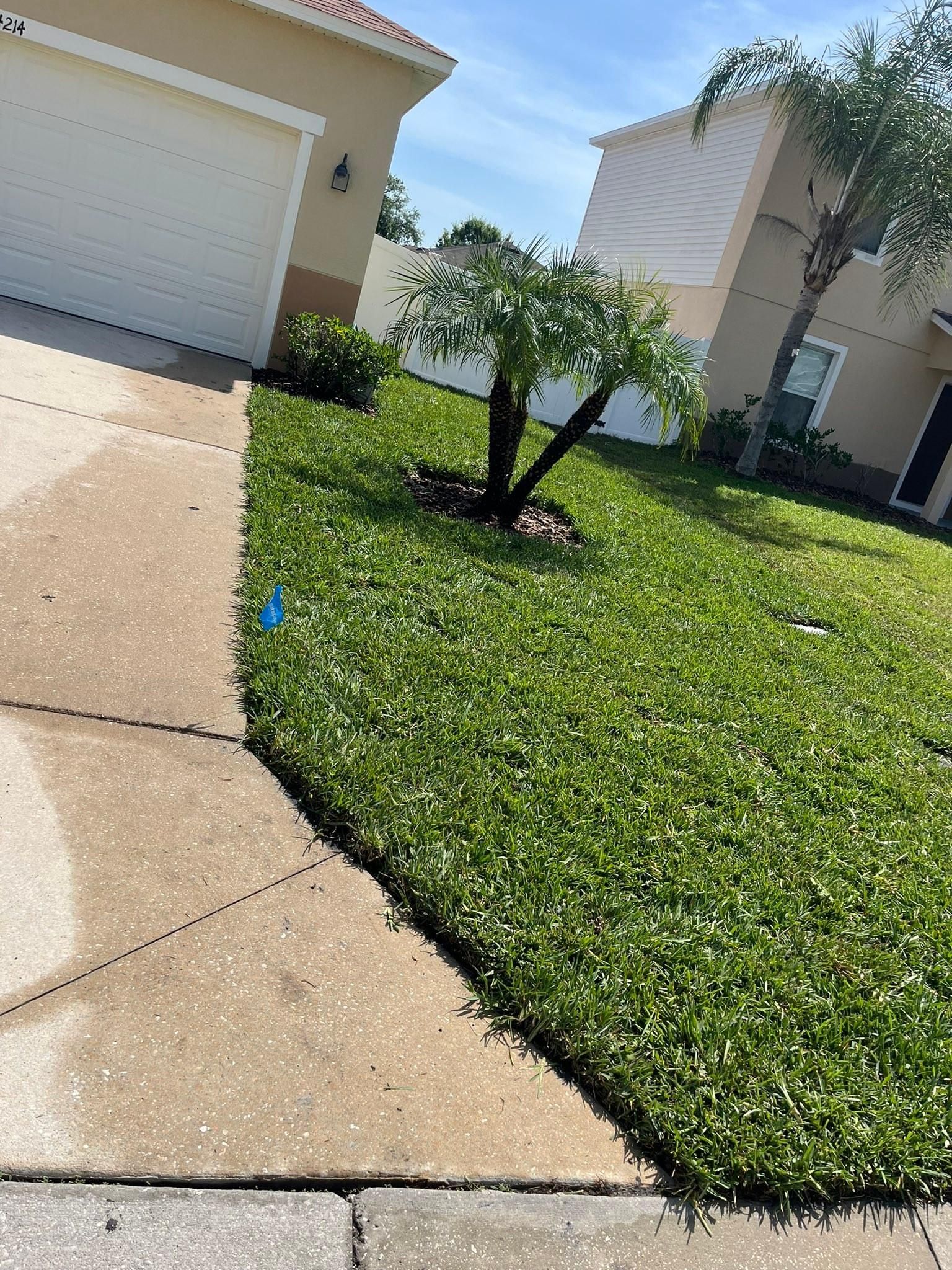  for New Era Lawn Care & Landscaping in Lakeland,  FL