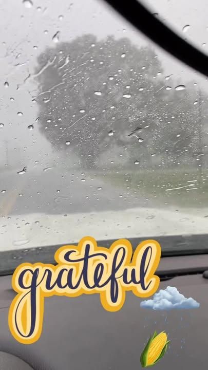  for Bearforce Lawn Care LLC in Greenfield, IN