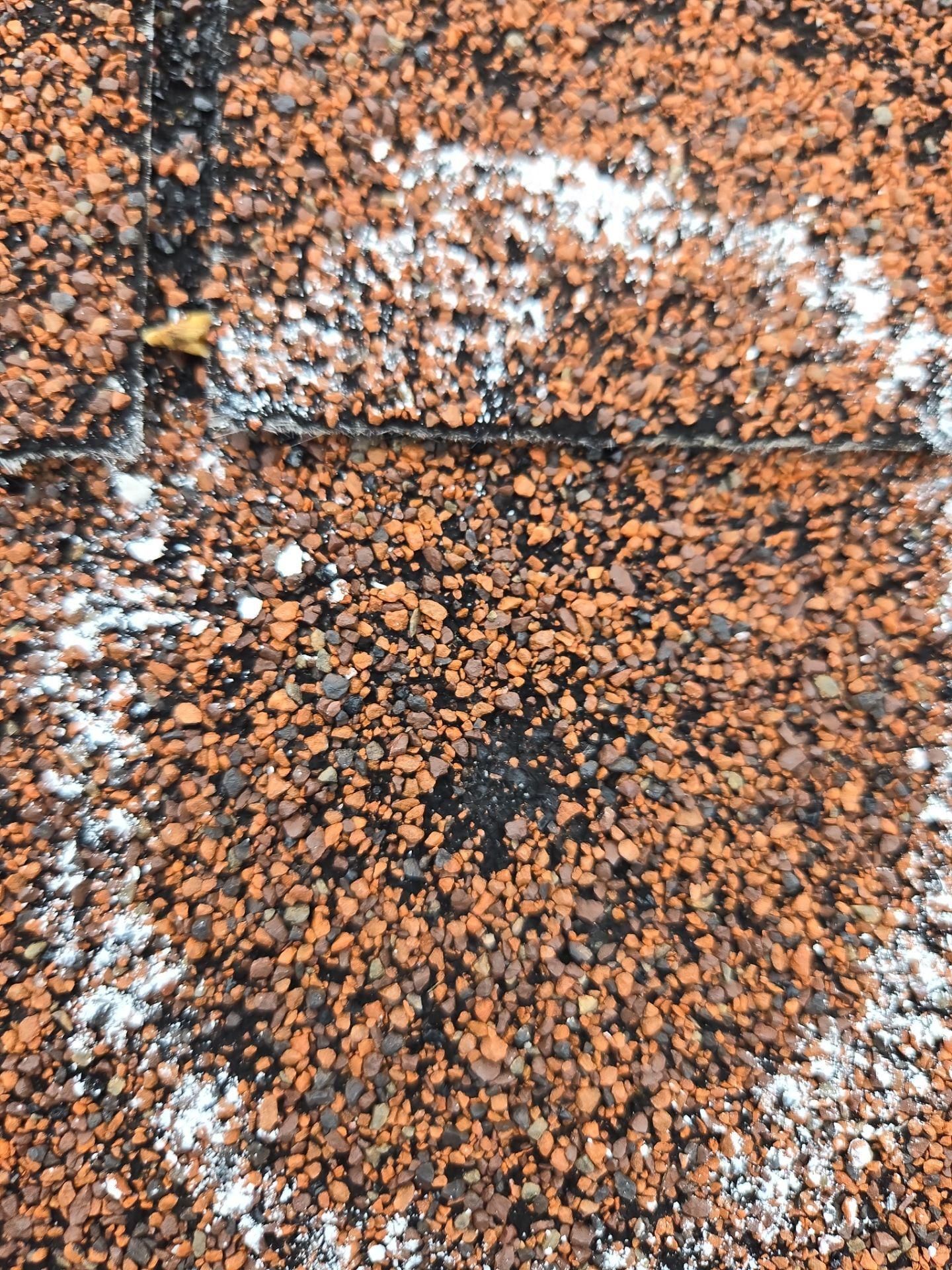  for Hometown Roofing in Greenwood, SC