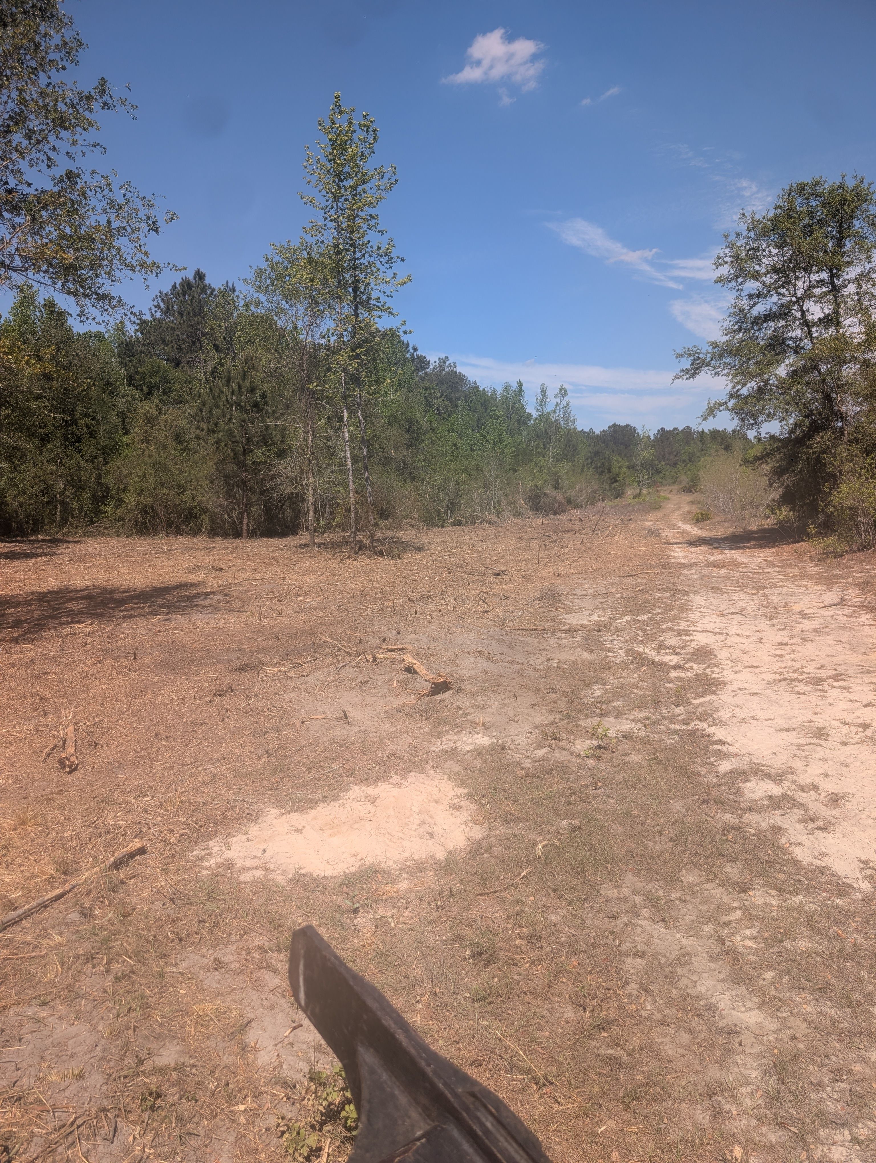  for TDWS Land Management in Blackshear, GA