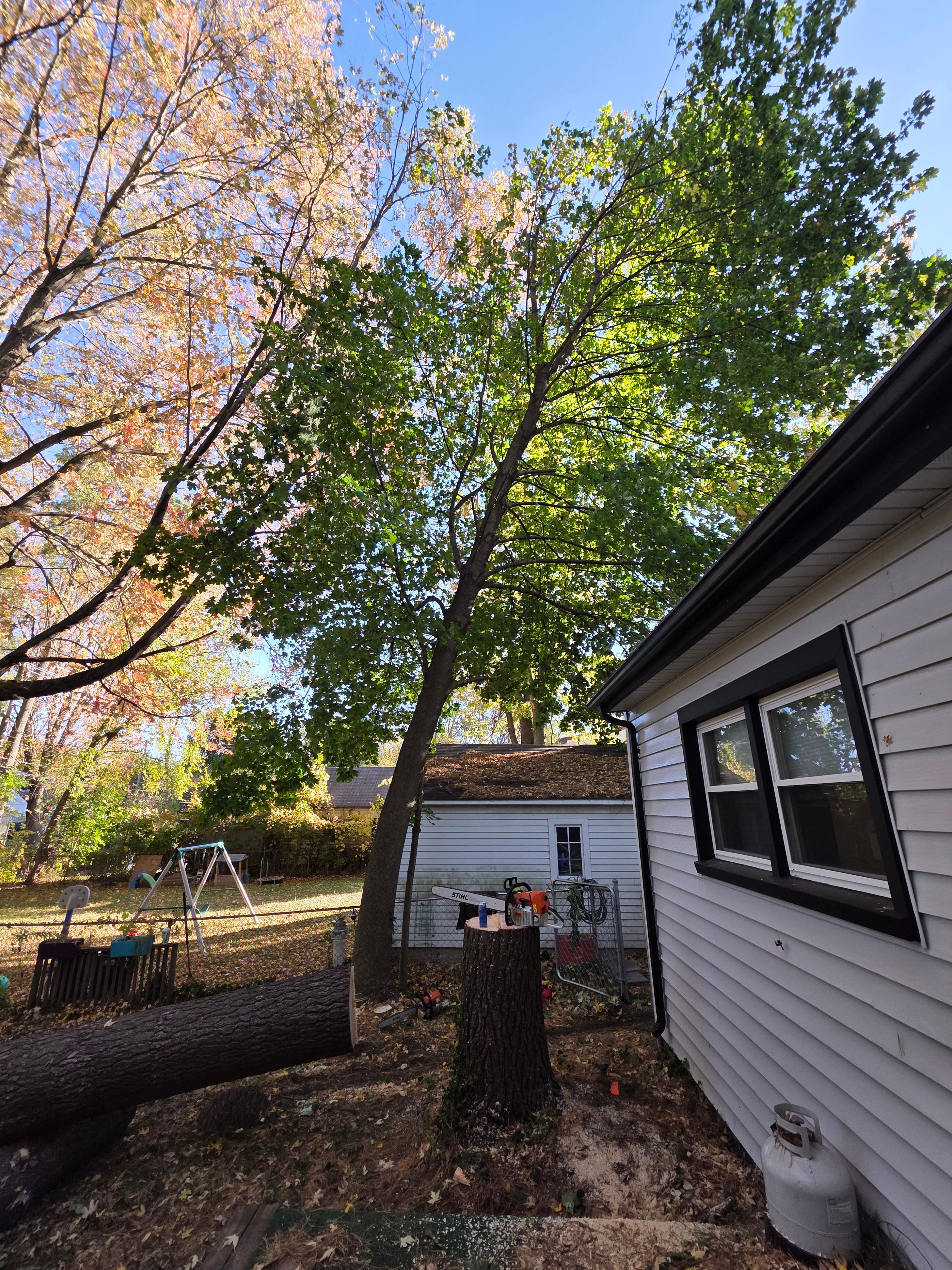  for D Hale Tree Service in Ann Arbor, MI