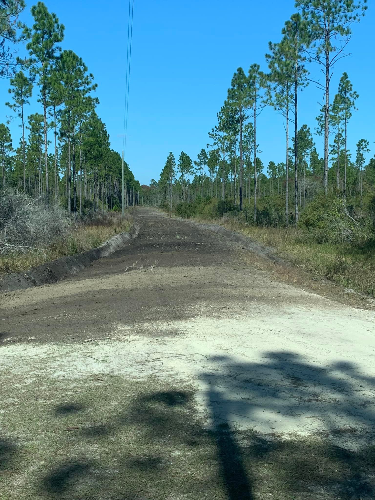  for Wilson’s Excavation & Land Clearing in Greenville, FL