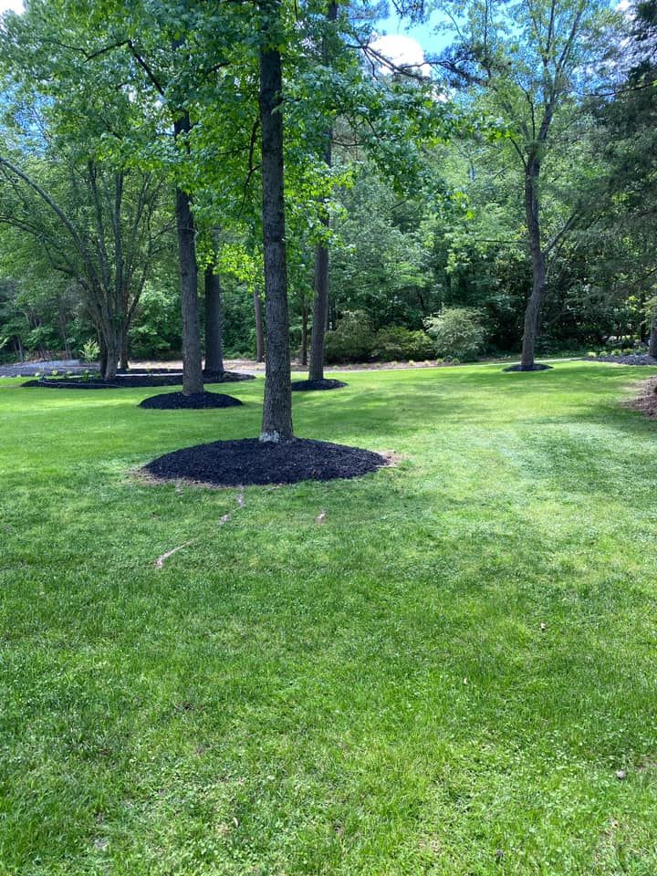 Landscaping for JIF Concrete Services in Greenville, SC