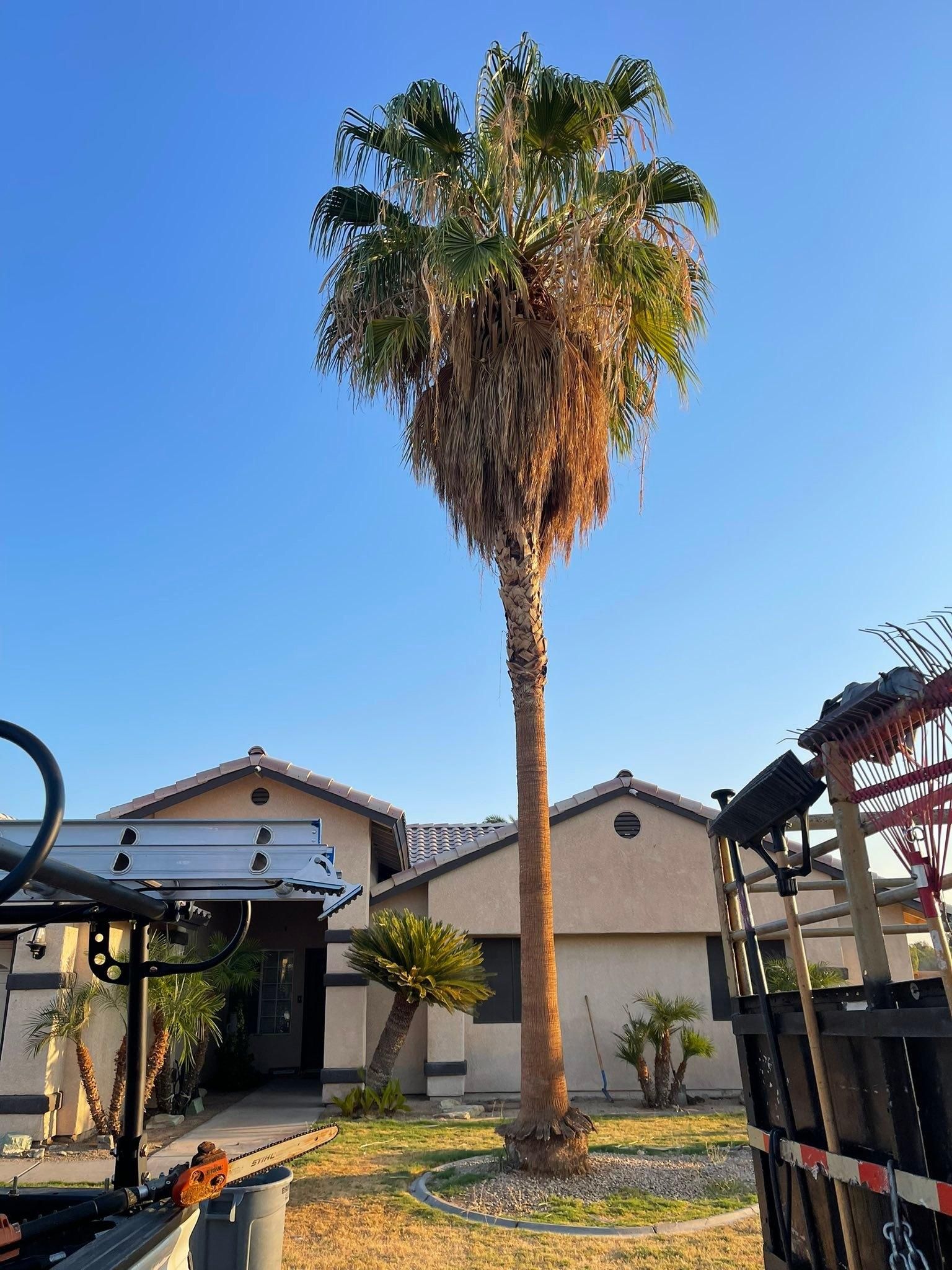  for Oliver L. Palm & Tree services in Yuma County, AZ