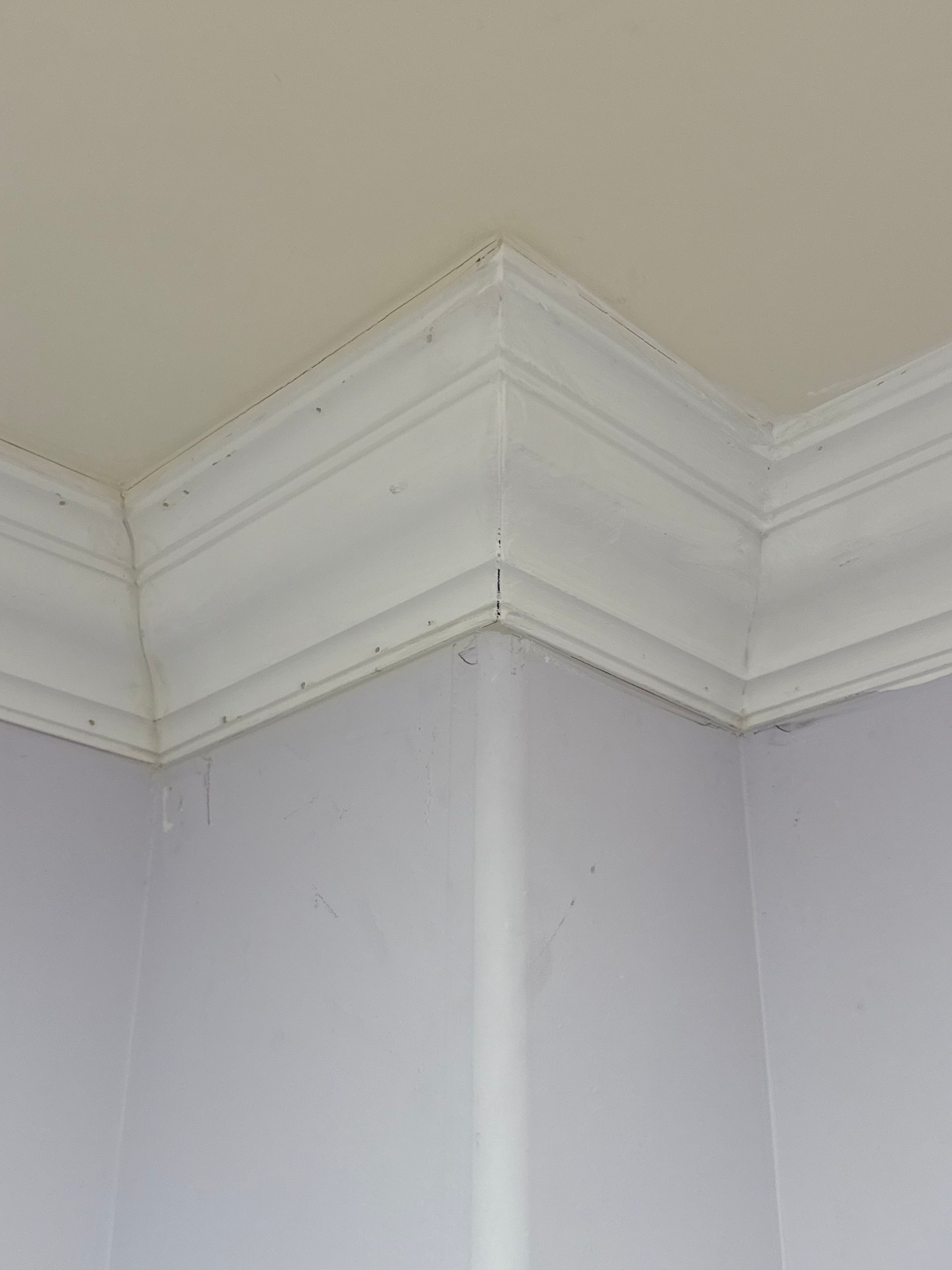  for Joel's Local Handyman Services in Clermont, FL