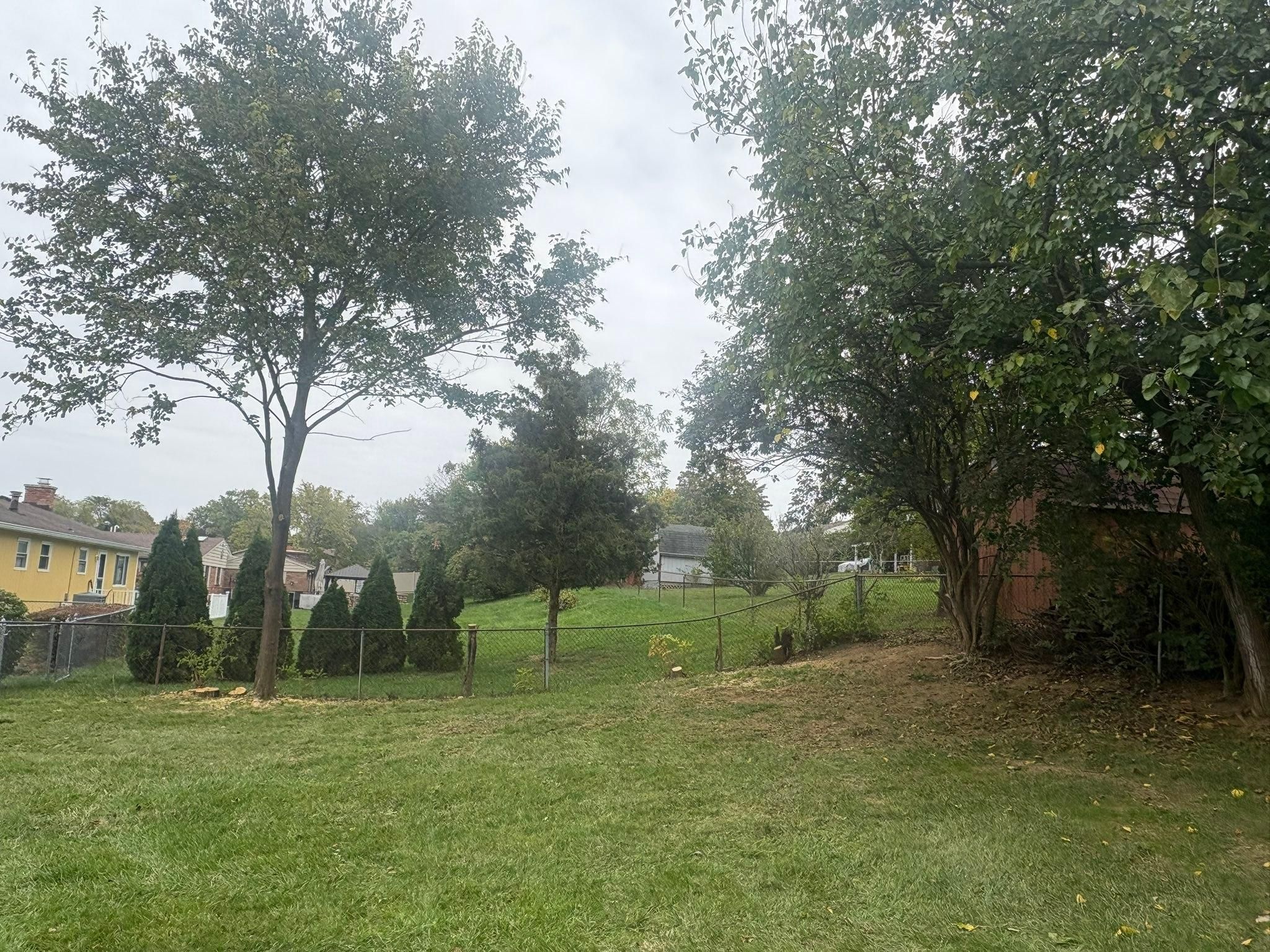  for Dig-It Tree Company in , 