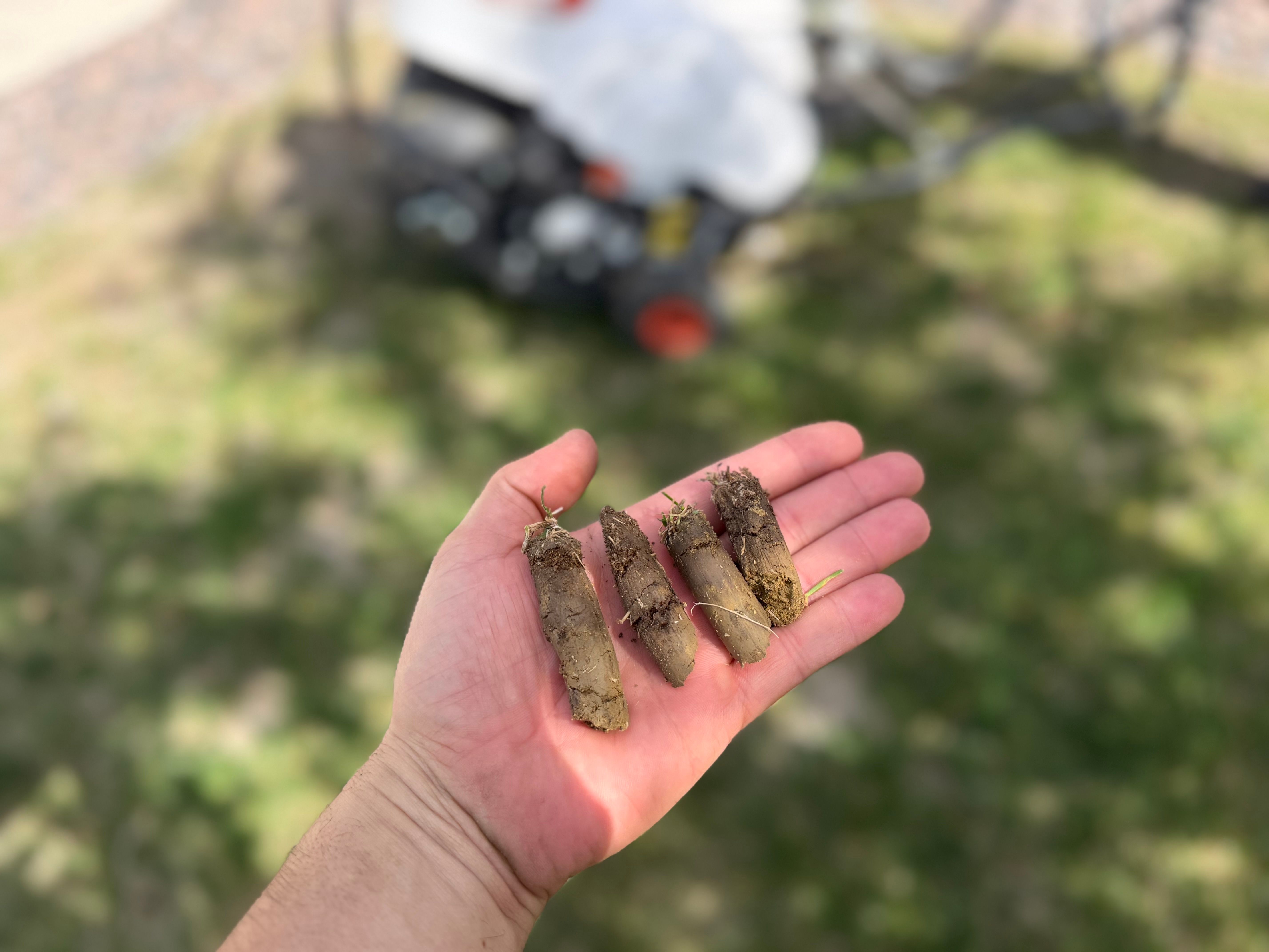 All Photos for Manscaped Lawn Care in Firestone, CO