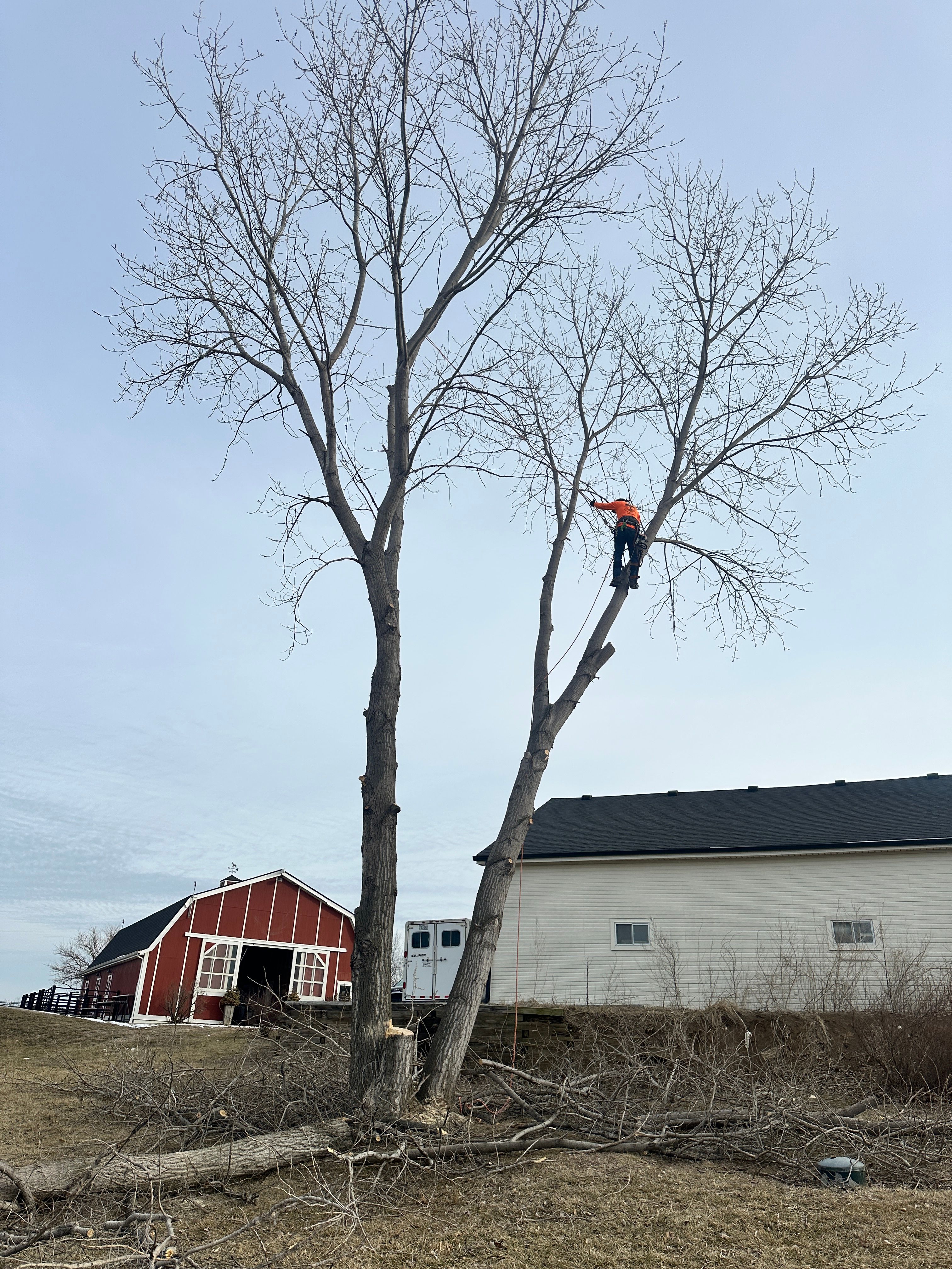 All Photos for Cross Family Tree Service in Kearney, MO