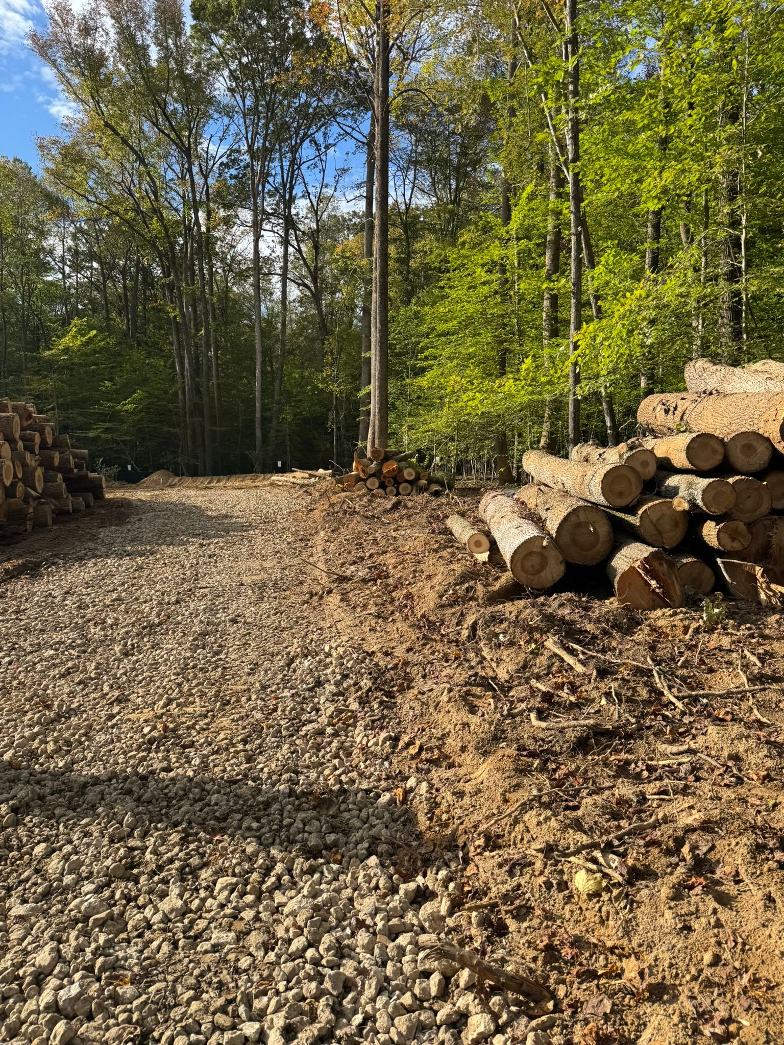  for Elite Excavating & Septic Service, LLC in Calvert County, MD