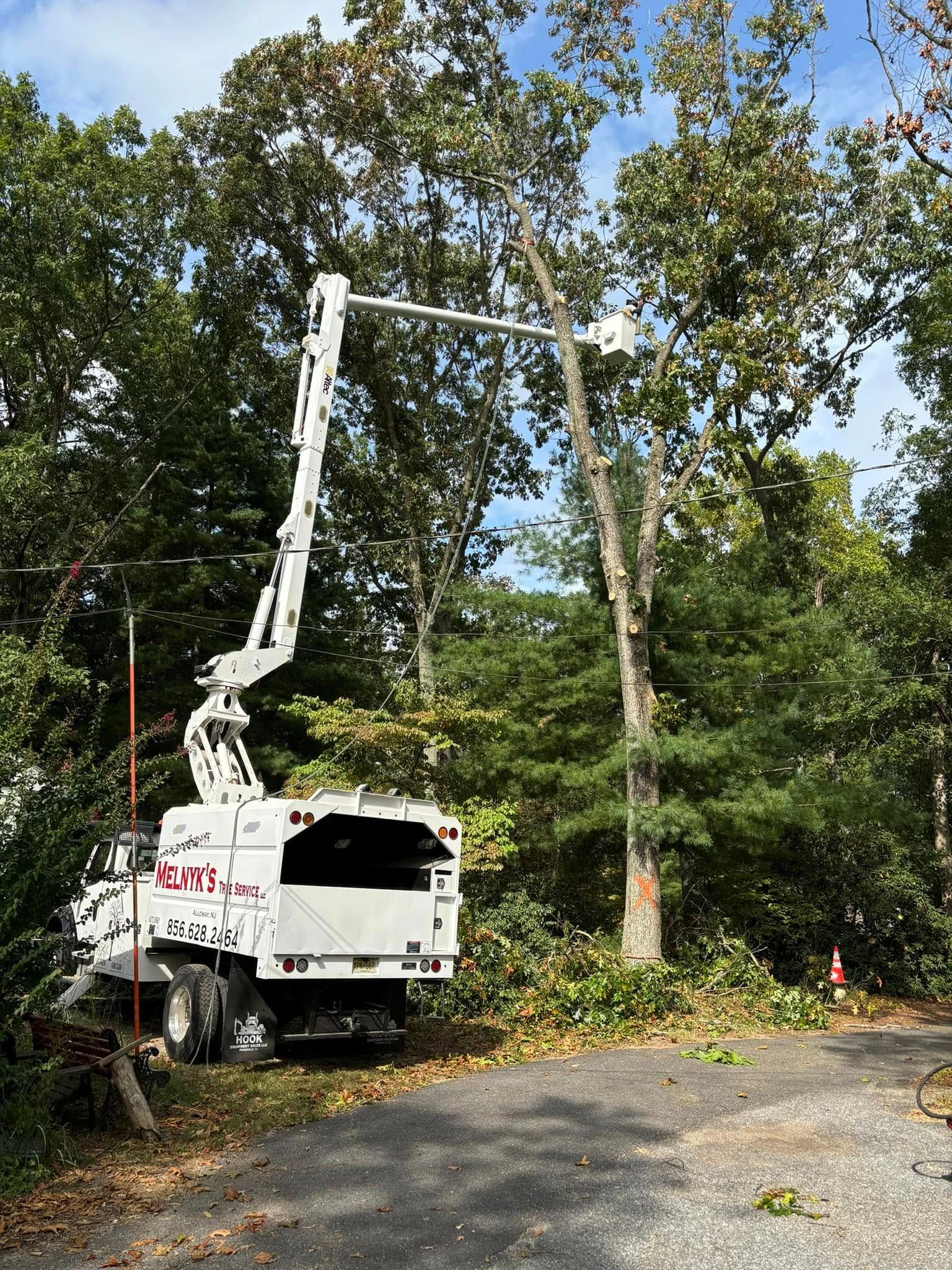 All Photos for Melnyk’s Tree Service in Salem County, NJ