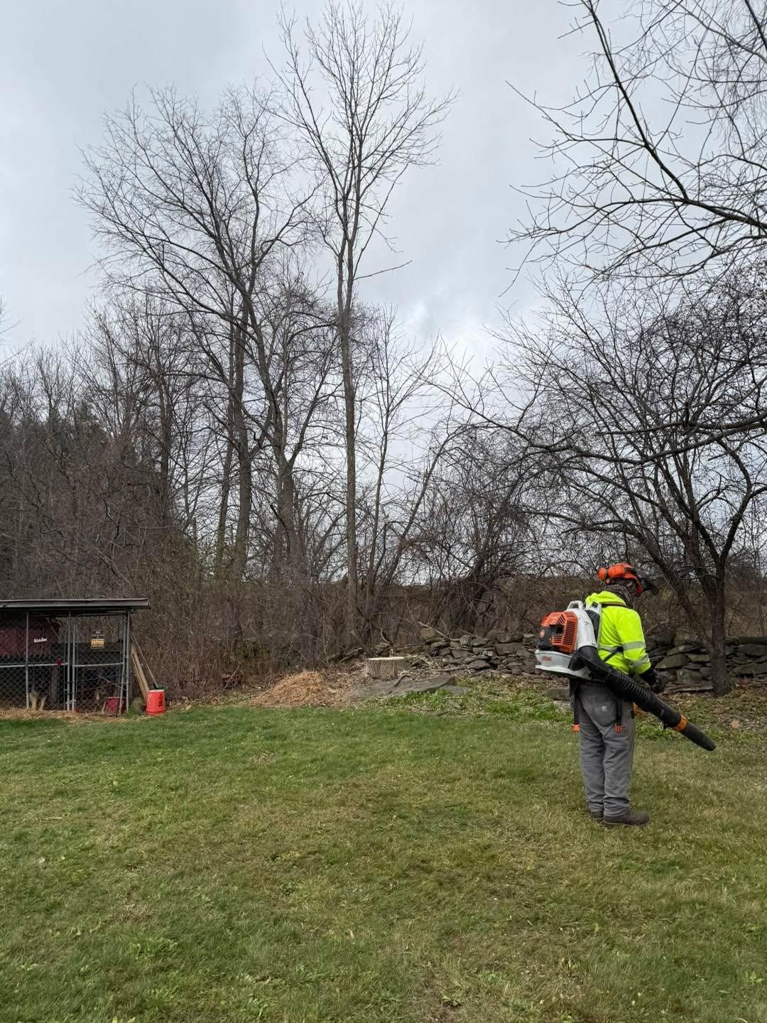  for Sterlings Tree Removal in Cobleskill, New York