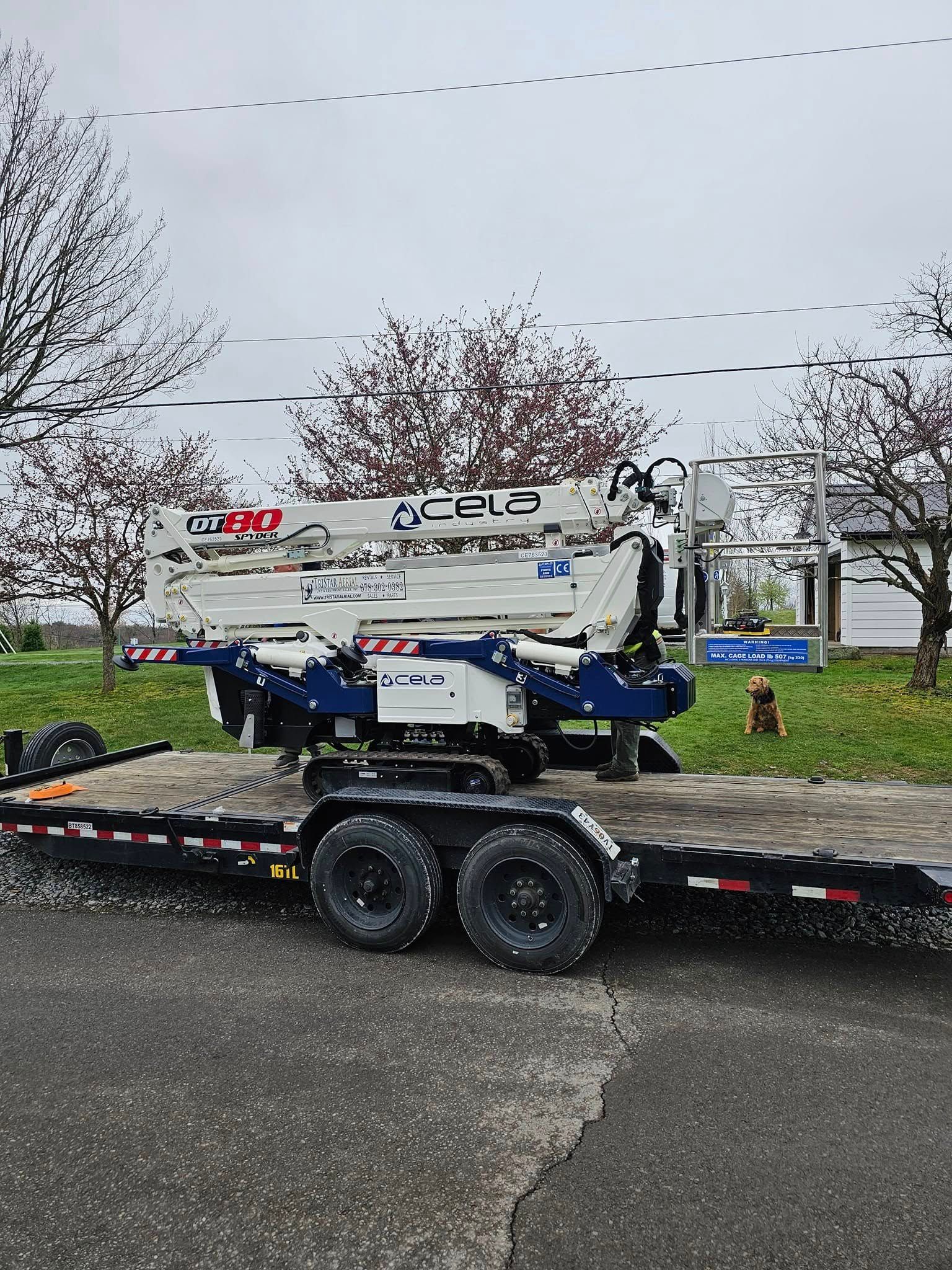  for AAA Tree Cutting in Shavertown, PA