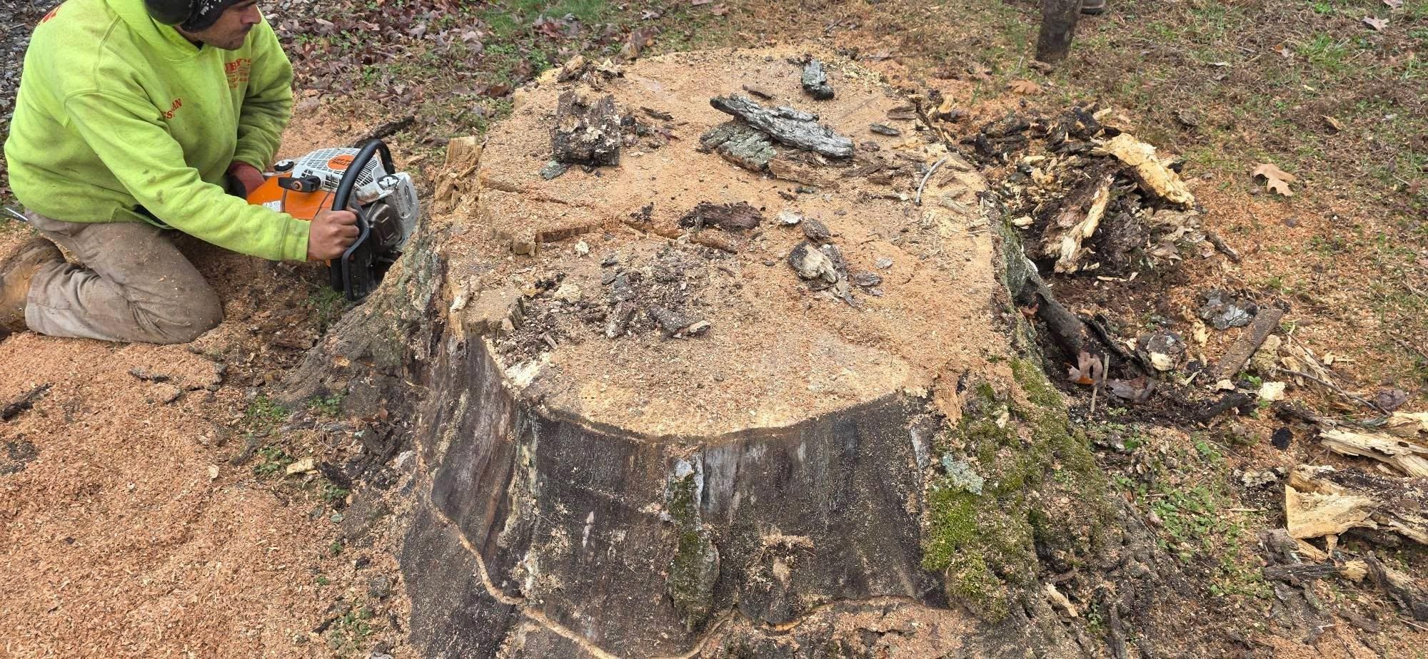  for Hamlett Tree Service LLC in Clover, VA