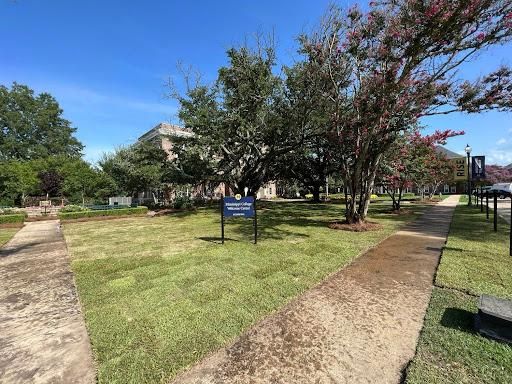  for Amis Lawn and Landscape, LLC in Clinton, MS