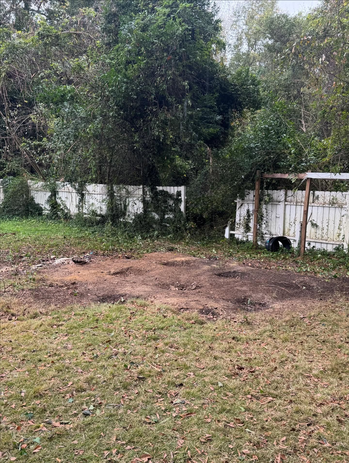  for Shang's Landscaping Service in Columbia, South Carolina