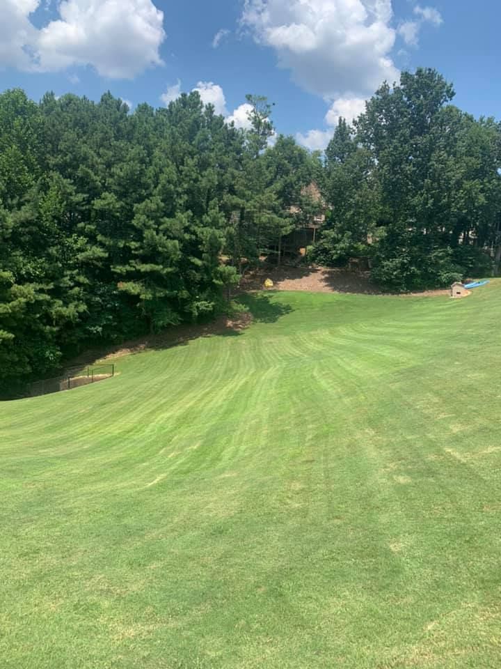 All Photos for Bega Landscape Services in Atlanta, Georgia
