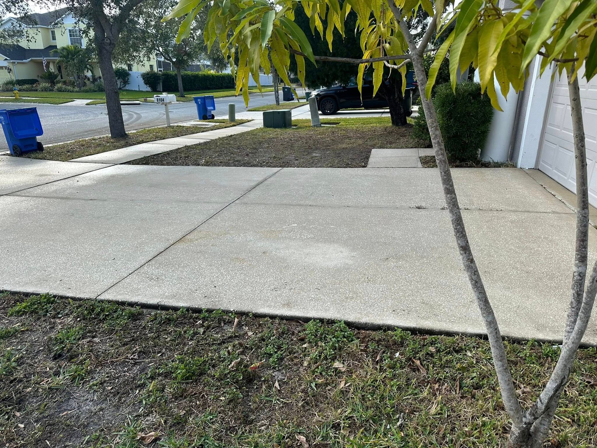  for The Yardman in Tampa, FL