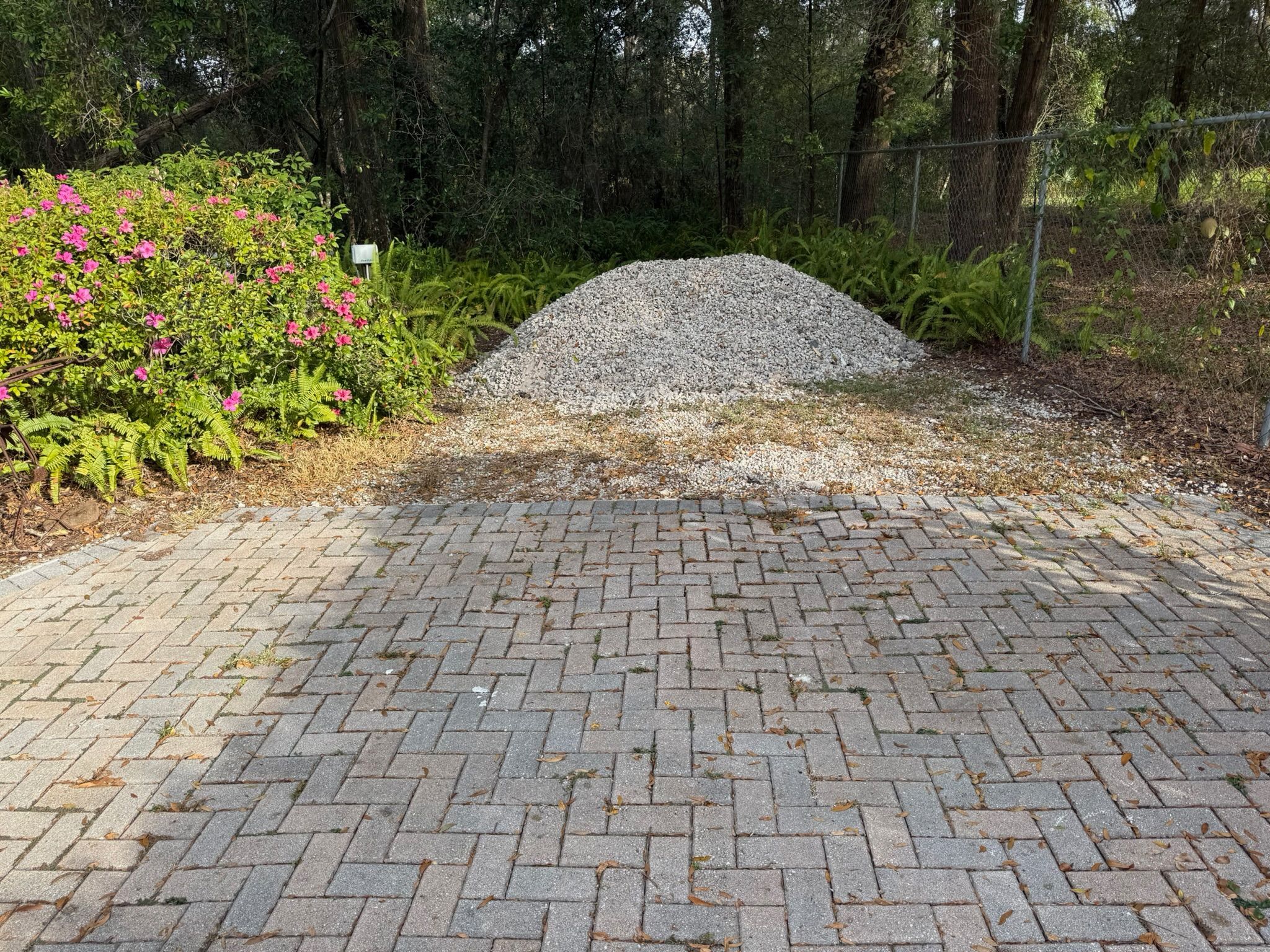  for Amerigrown Tree And Lawn in Apopka, FL