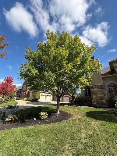  for Dig-It Tree Company in Mason, OH