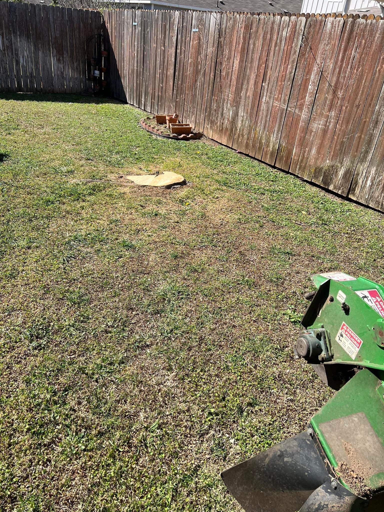 All Photos for Camerons Stump Grinding & Tree Services in Austin, TX