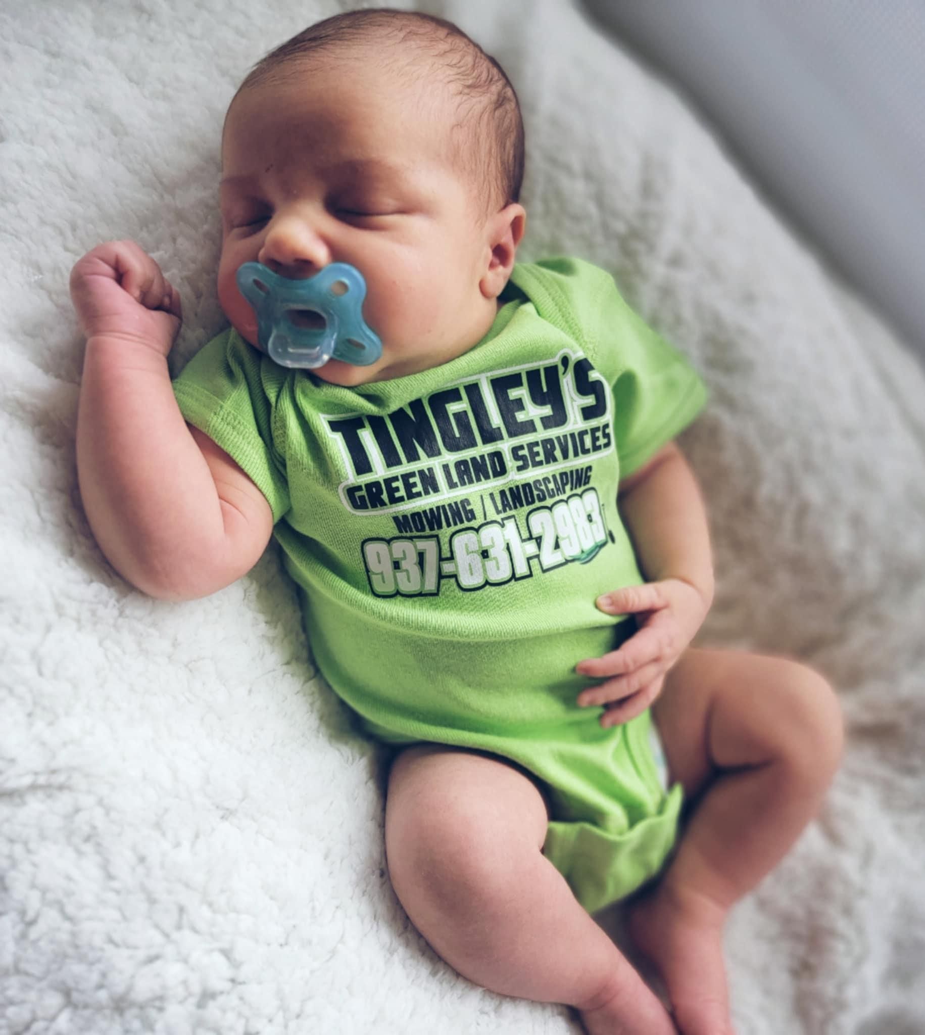 All Photos for Tingley's Green Land Services in Springfield, Ohio