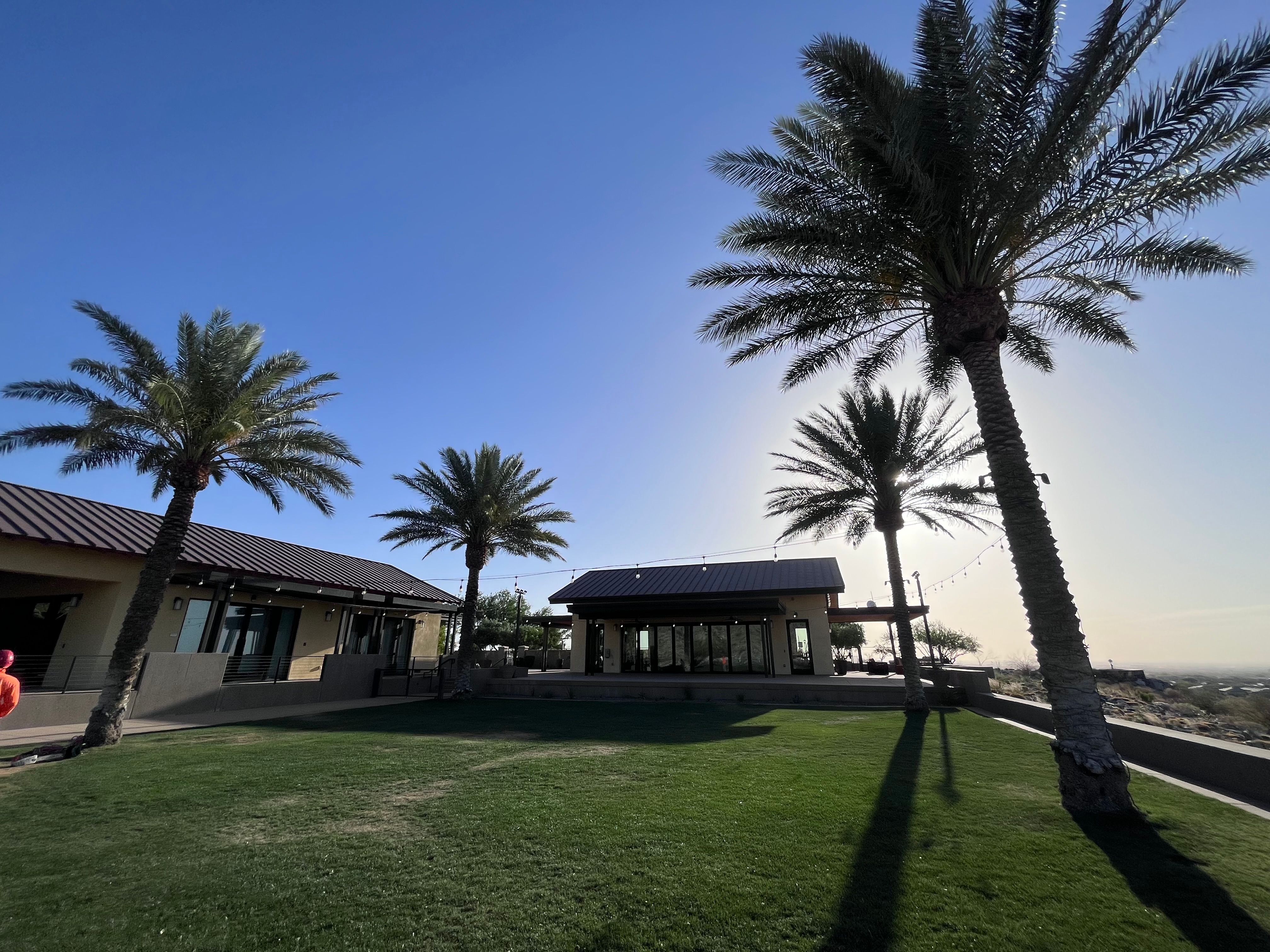  for AZ Tree & Hardscape Co in Surprise, AZ