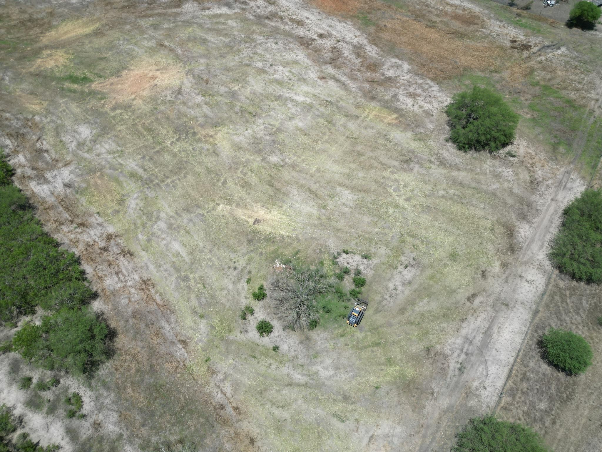 All Photos for Hernandez Land Clearing Services in Alice, TX