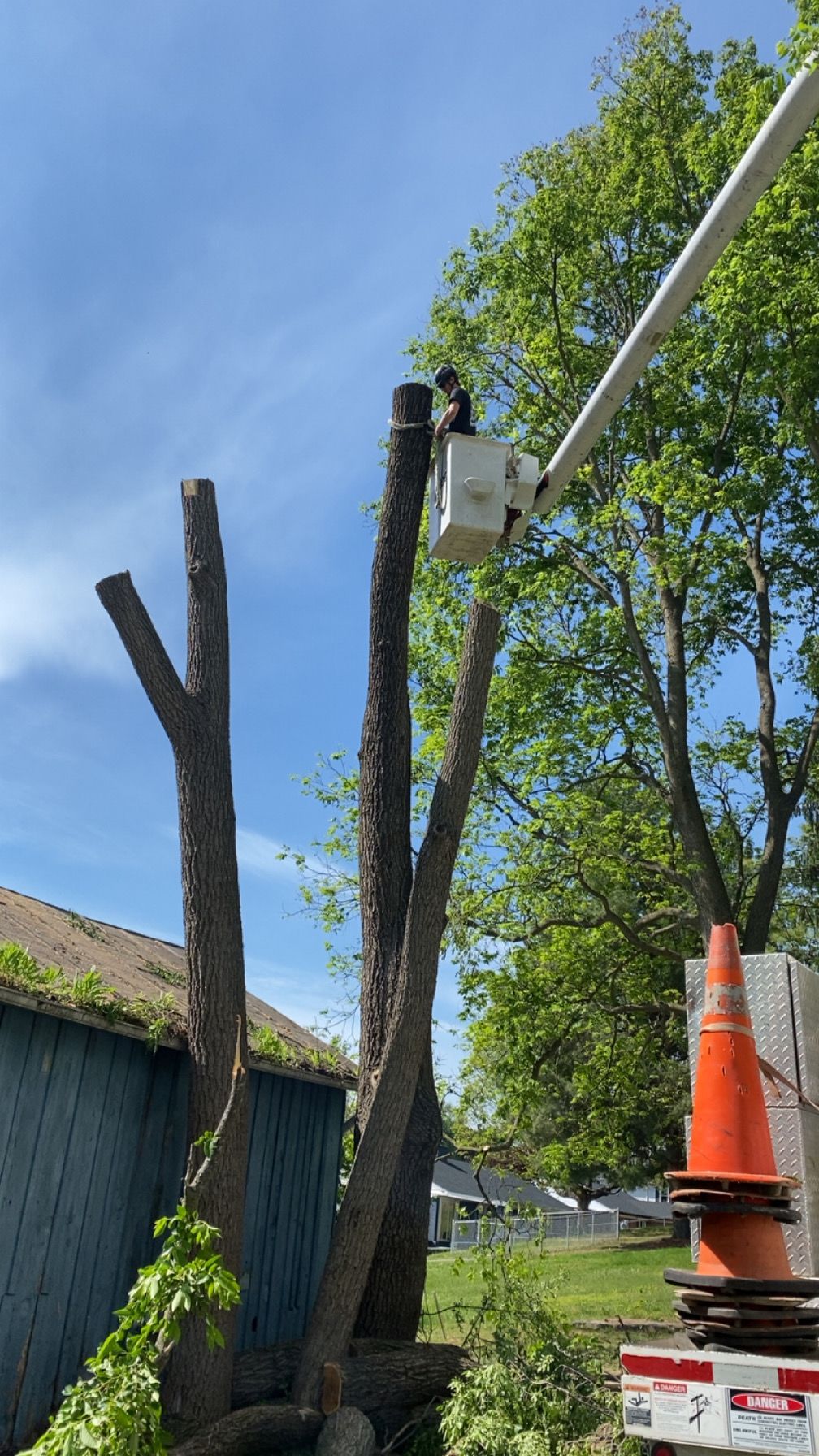 All Photos for Gray's Tree Service  in Shenandoah County, VA