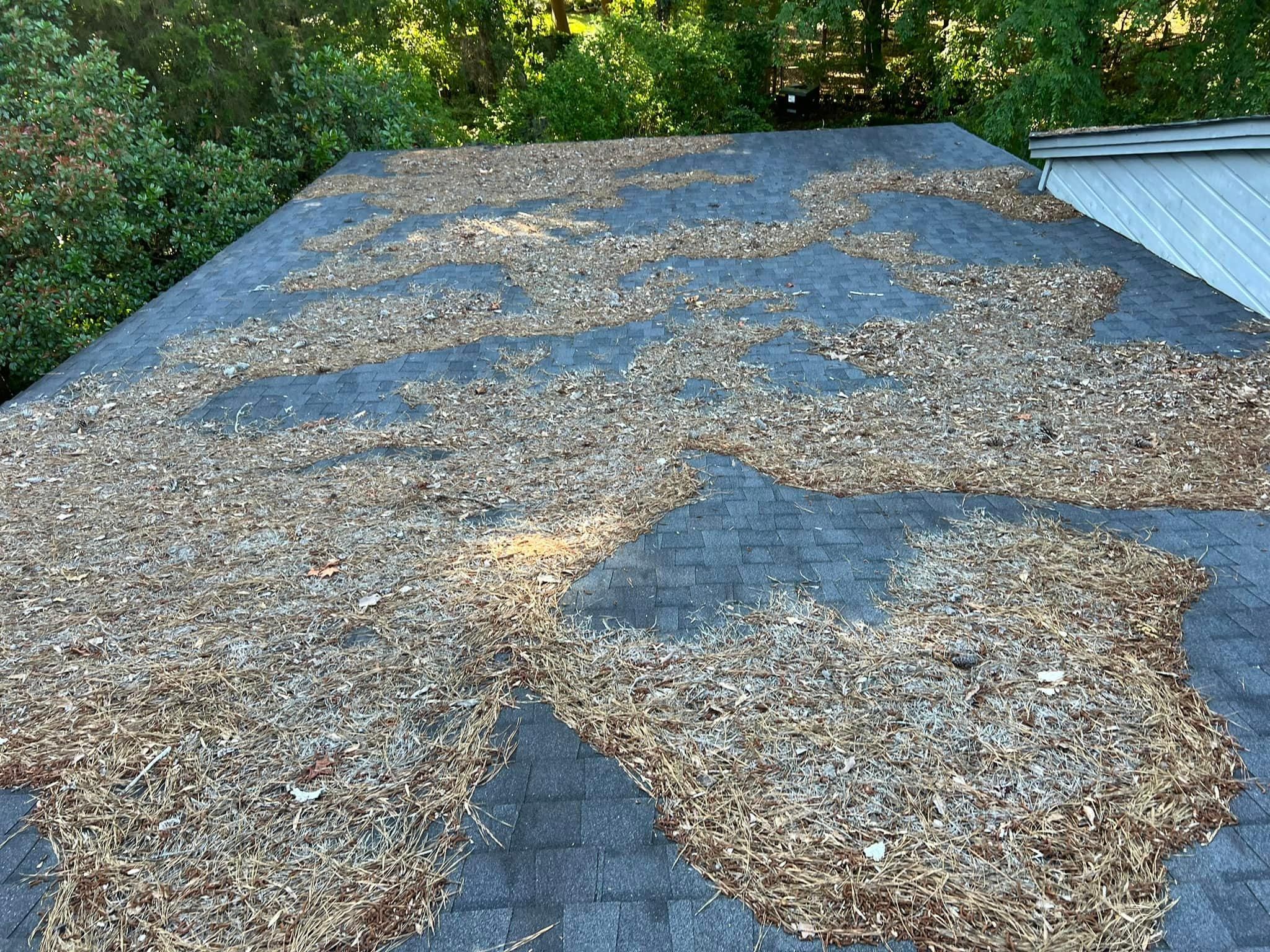  for Shang's Landscaping Service in Columbia, South Carolina