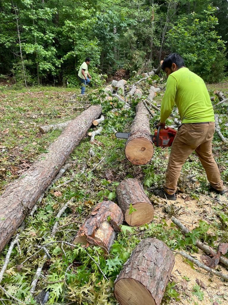 Tree Removal for Rosales Landscaping LLC in Lake Gaston, North Carolina