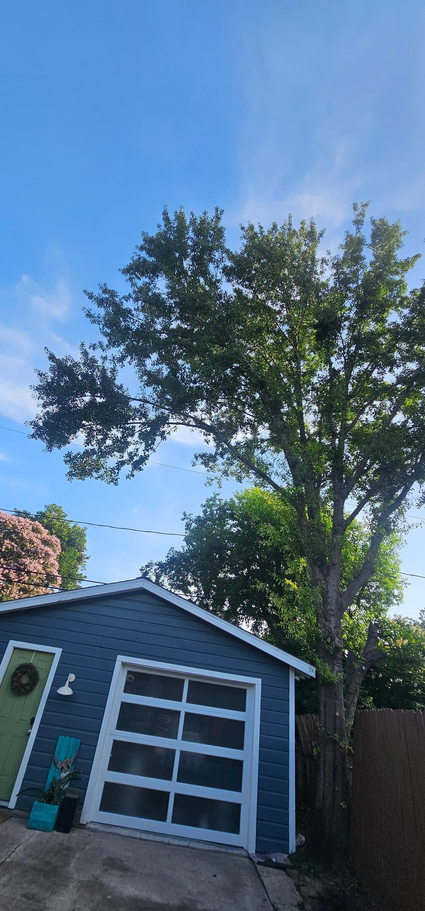  for Servin's Tree Care  in Houston, TX