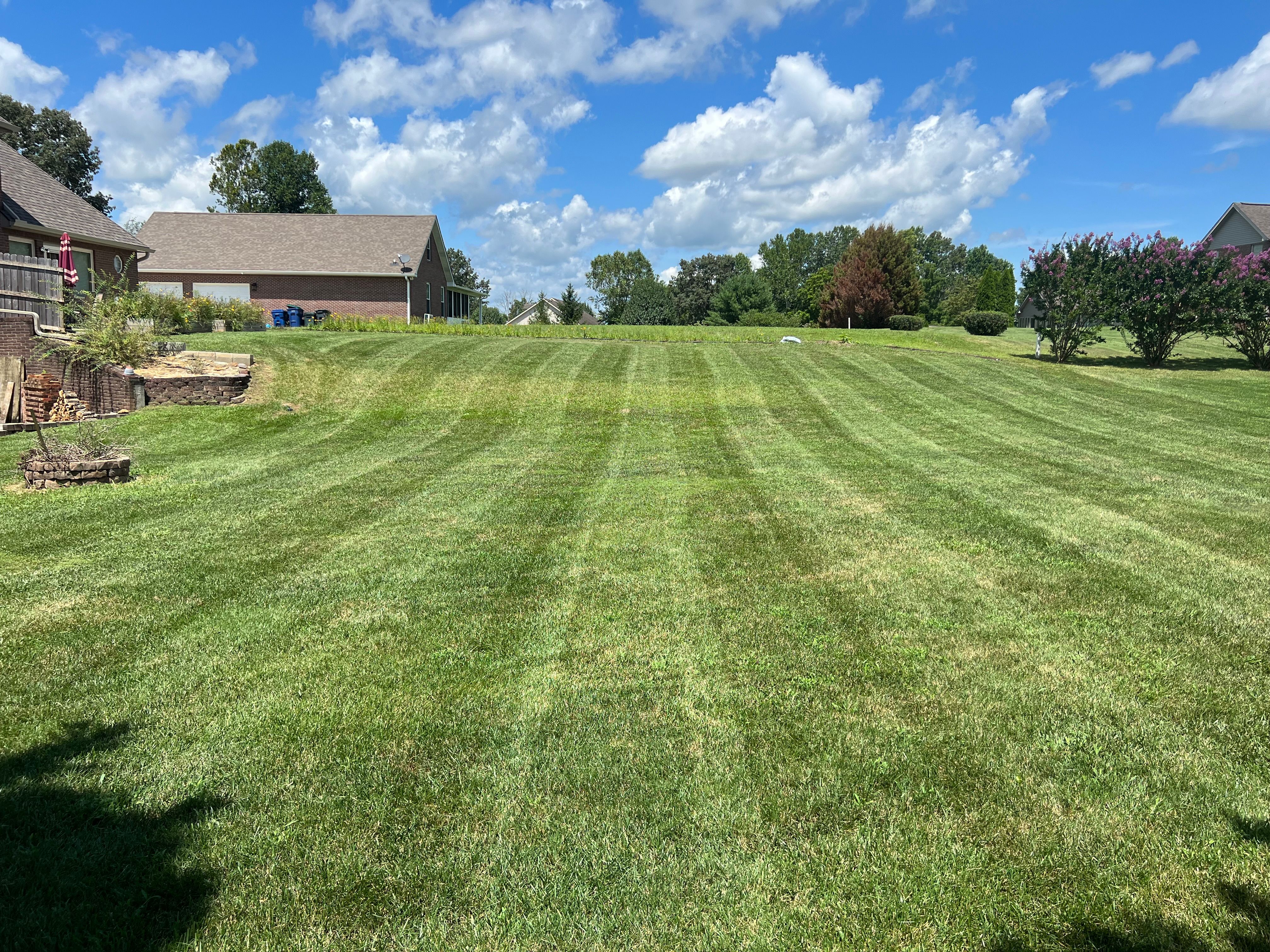 All Photos for The Yard Barbers in Somerset, KY
