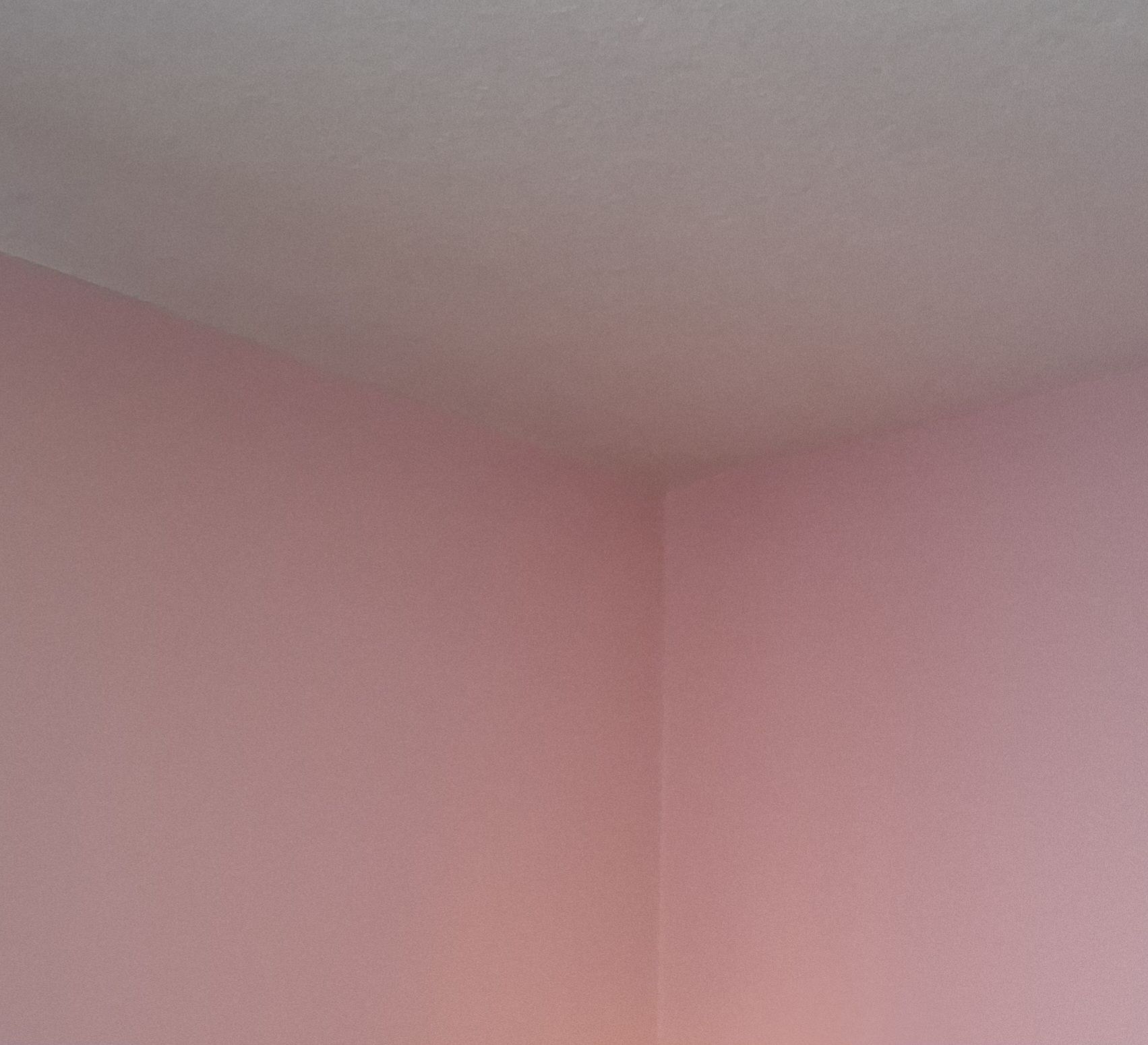  for Deluxe New World Painting Company  in Cheboygan, MI