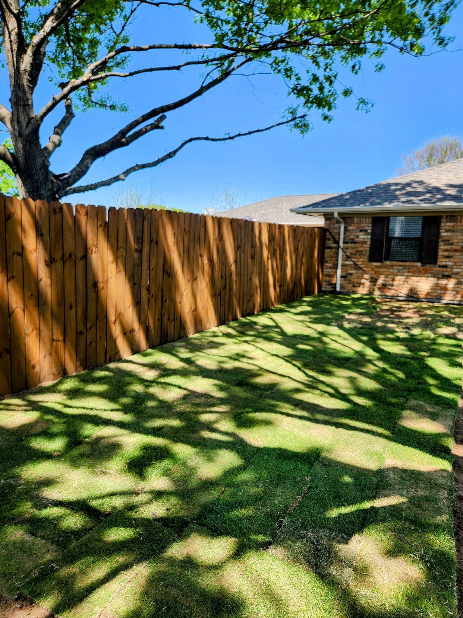  for Lavon Lawn Plus in Lavon, TX