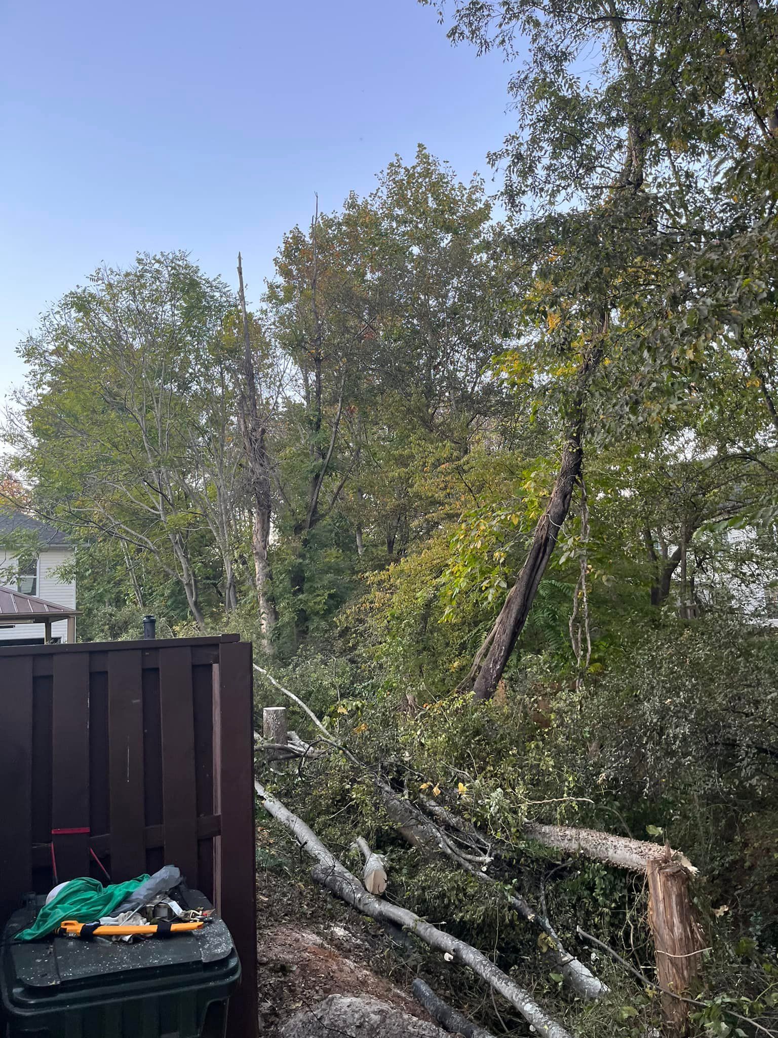  for DW’s Tree Service in Winston-Salem, NC