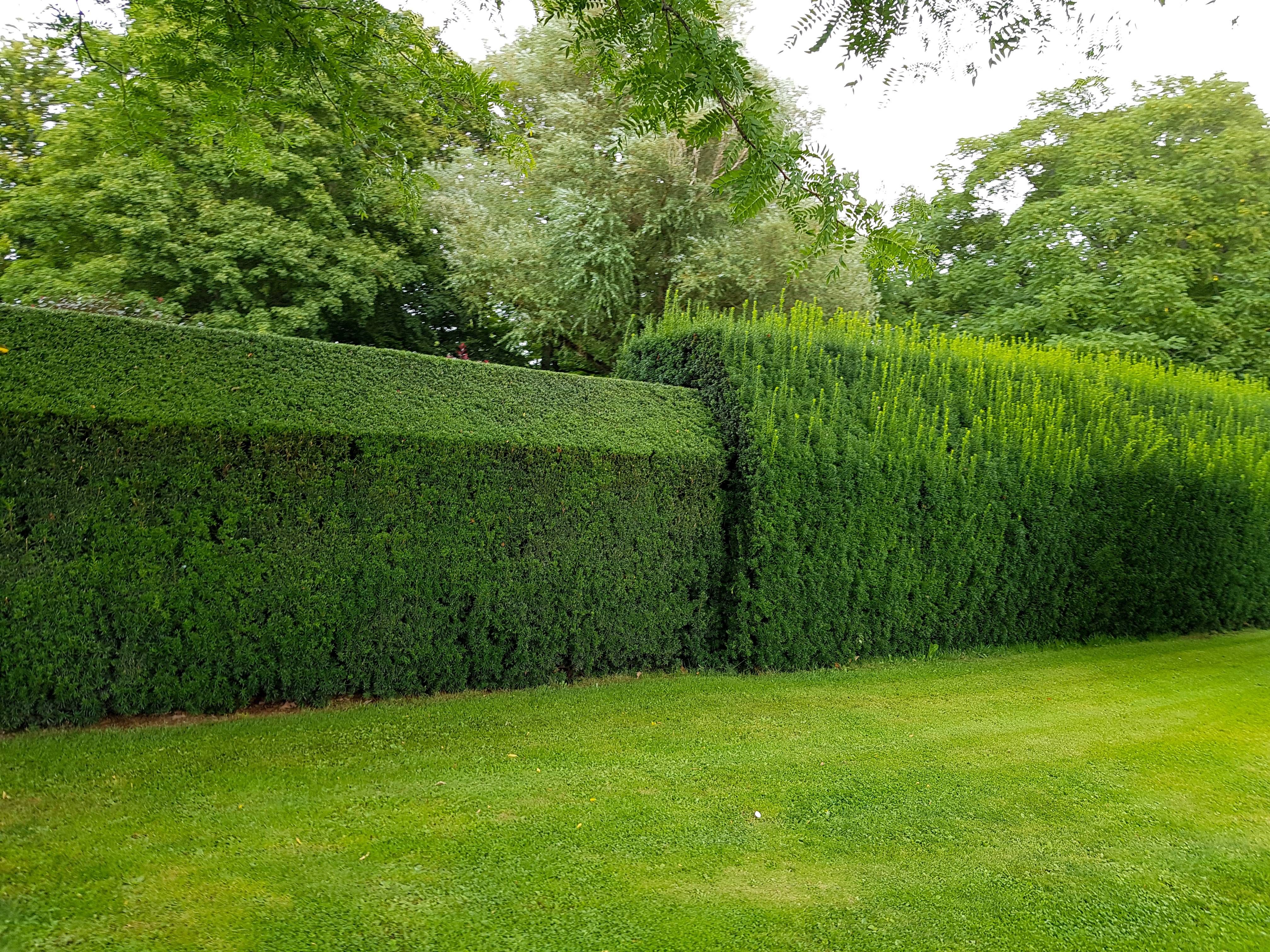  for Billiter's Tree Service, LLC in Rootstown, Ohio