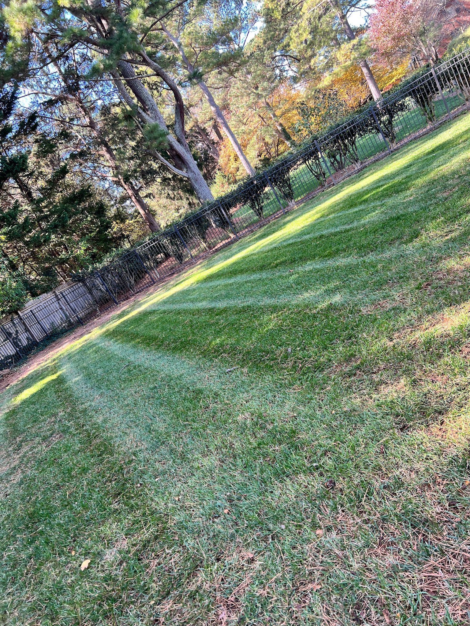 All Photos for Massey Landscaping in Gastonia, NC