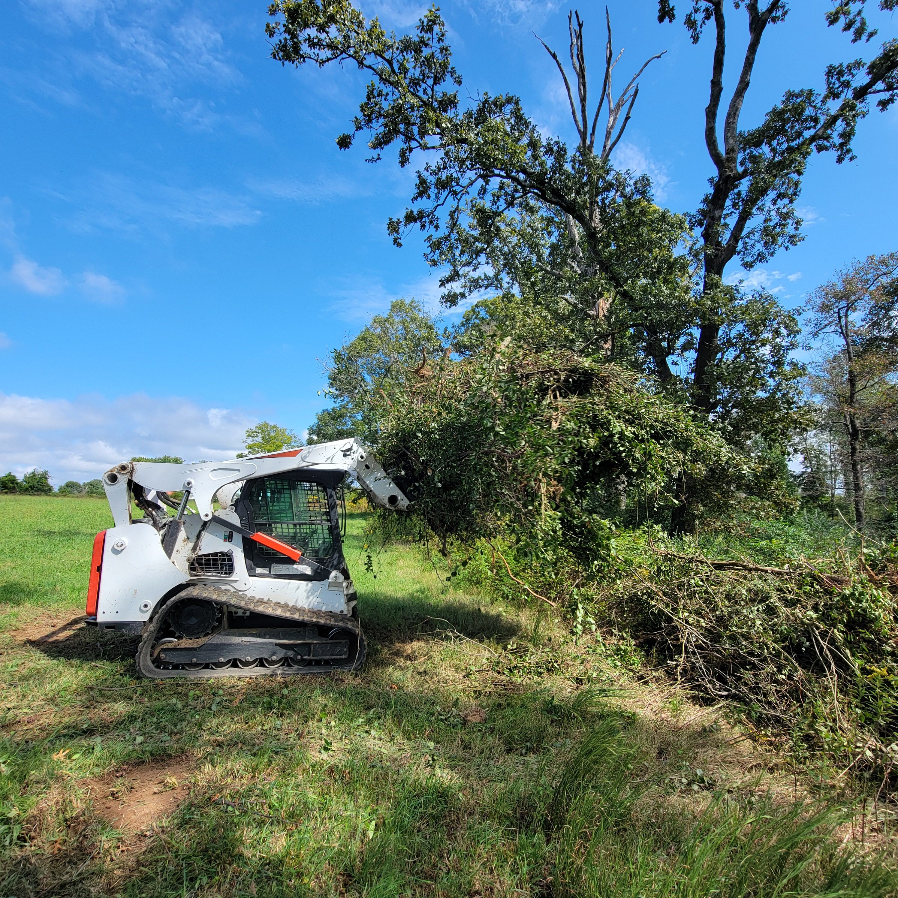  for Z's Land Management & Forestry Mulching in Smithville, TN