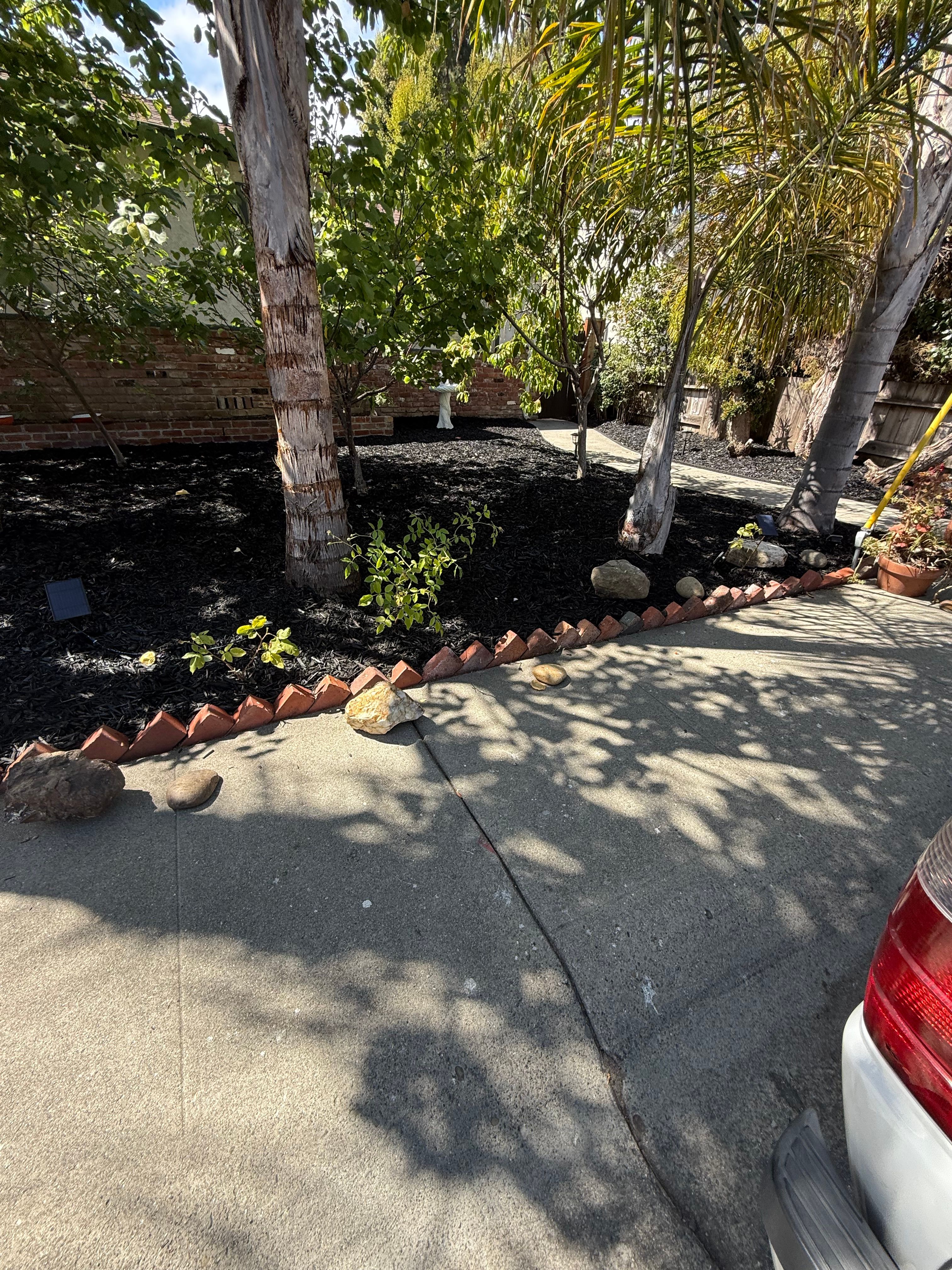  for CBA Landscaping in Hayward, CA