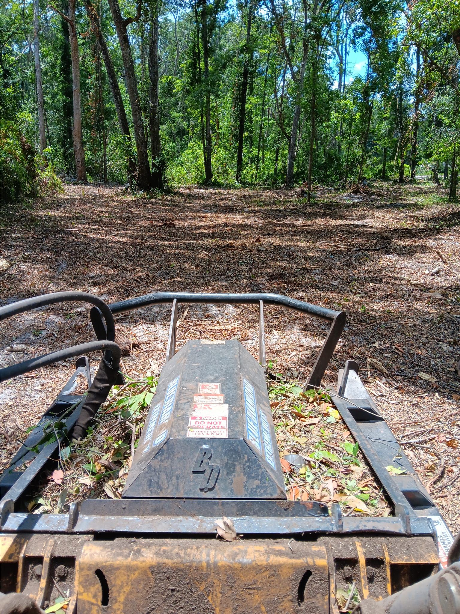 Tree Removal for Asbell's Tree & Land Services in Gilchrist County, FL