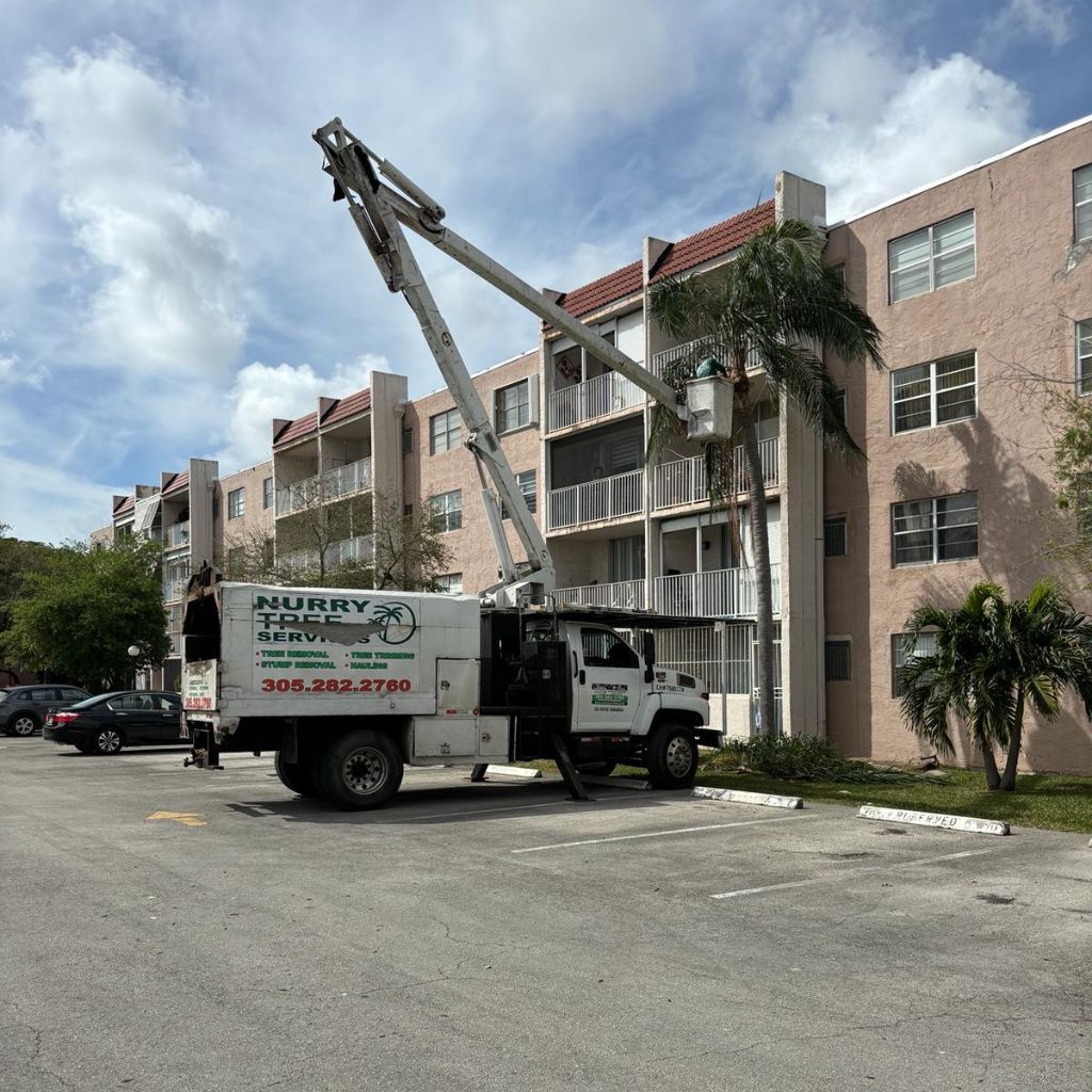  for Nurry Tree Services in Miami, FL
