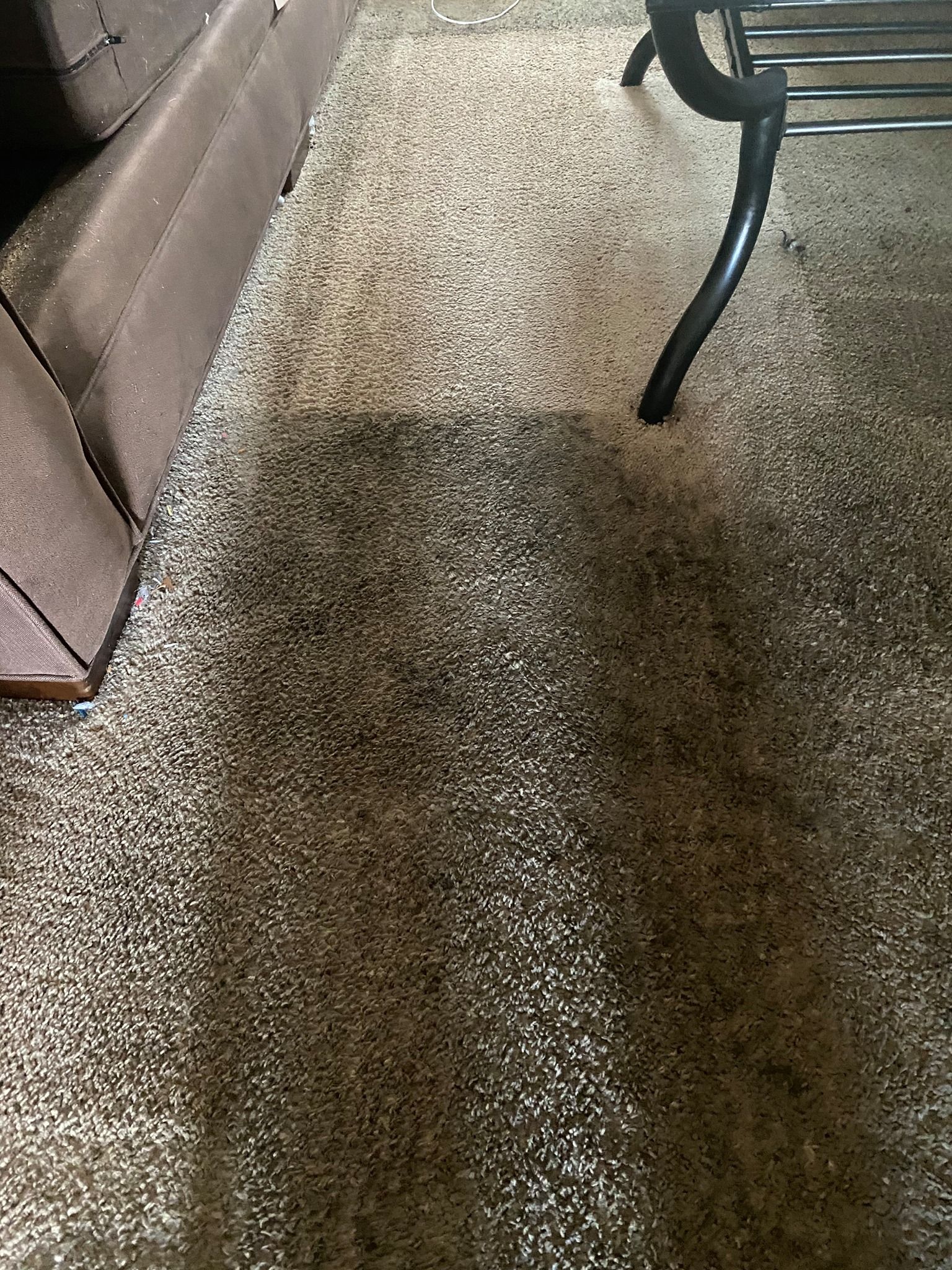  for Banderas Cleaning Service in Elsmere, DE
