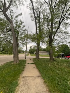  for Cena Landscaping in Rockford, IL
