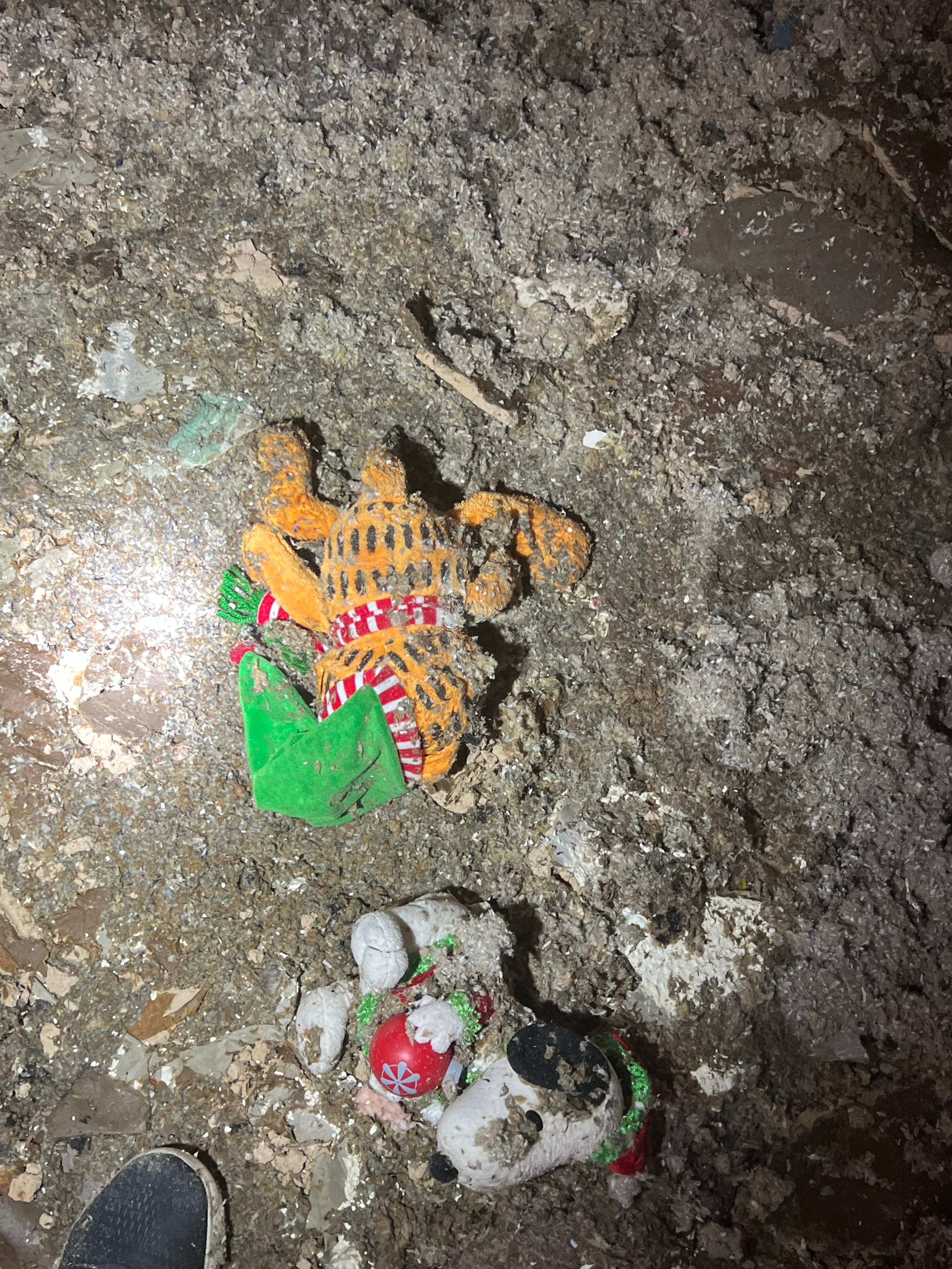  for N&D Restoration Services When Disaster Strikes, We Come In in Cape Coral,  FL