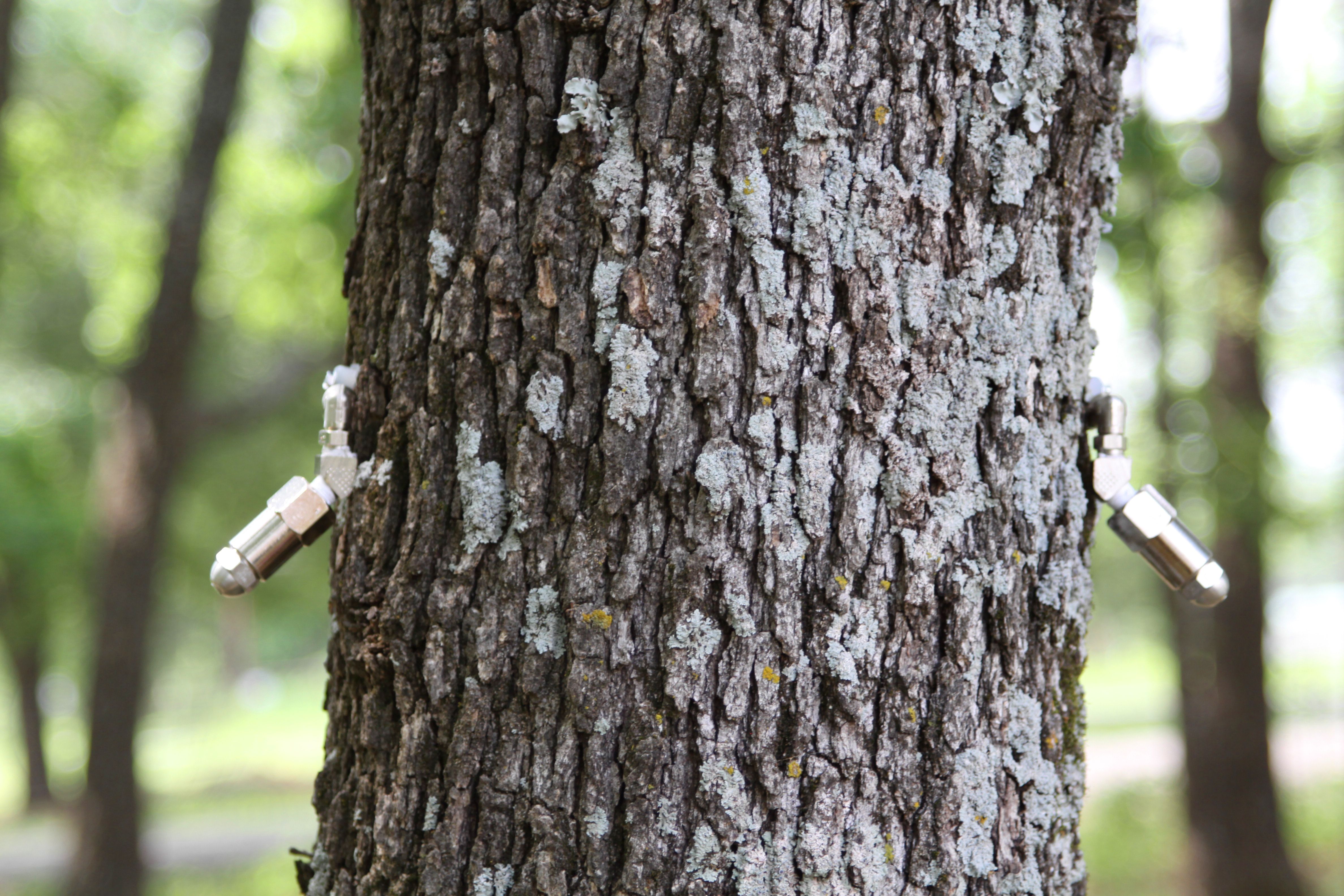 All Photos for Stonecreek Solutions in Sulphur Springs, TX