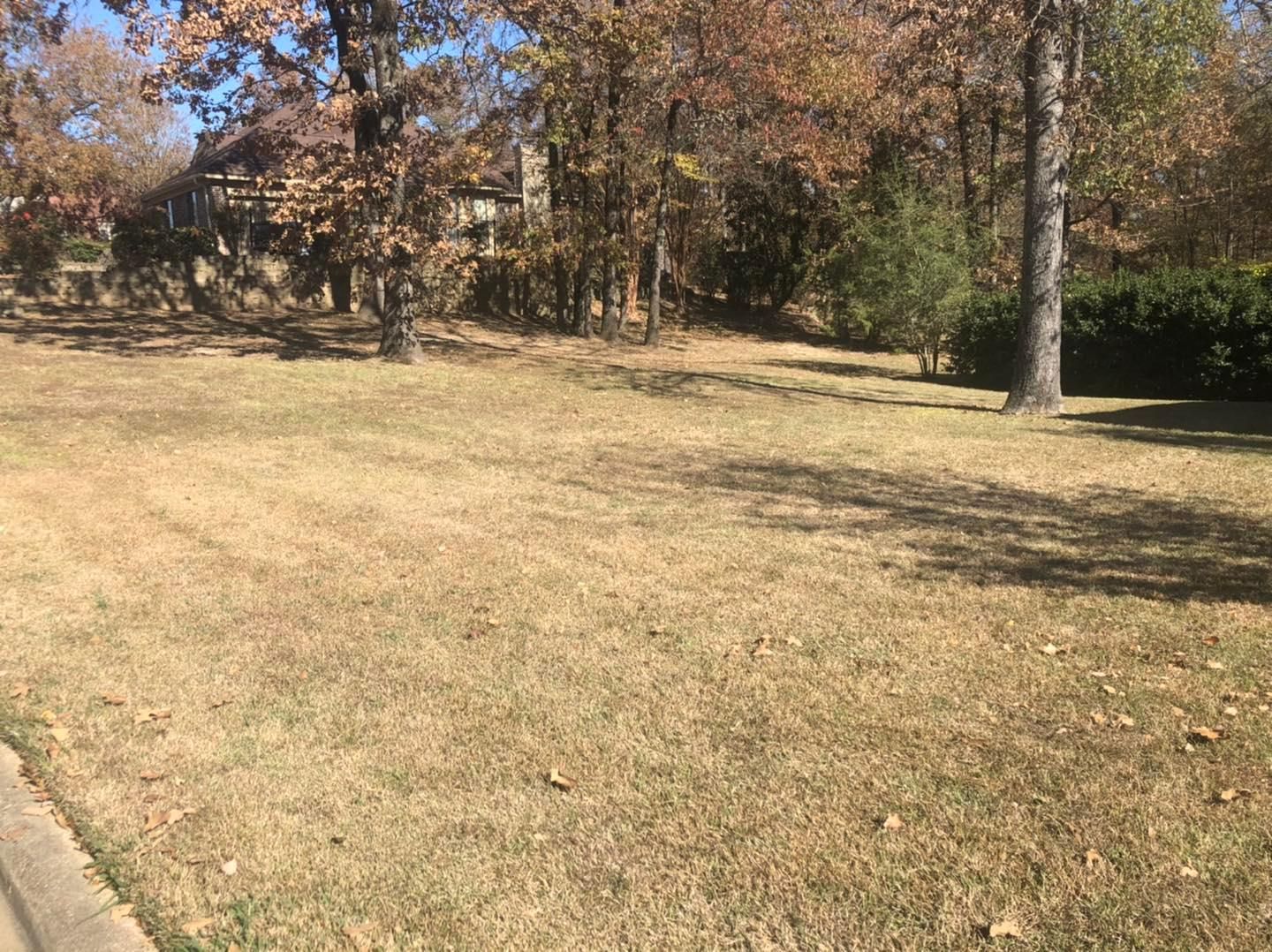  for Lawn Rescue in Texarkana, TX