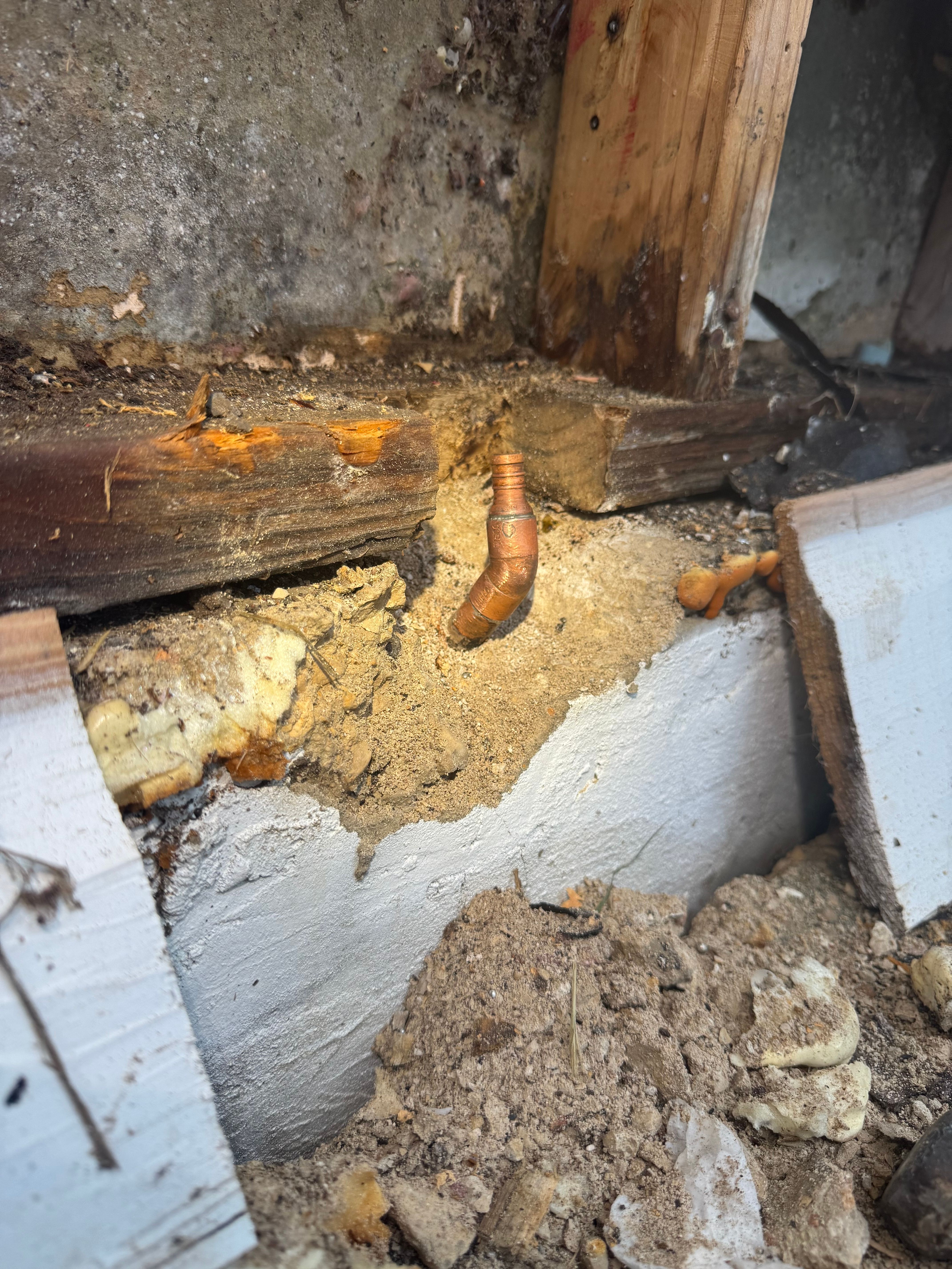  for Methodical Plumbing Services in San Antonio, TX